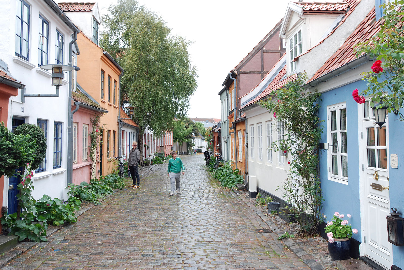 Mollestien