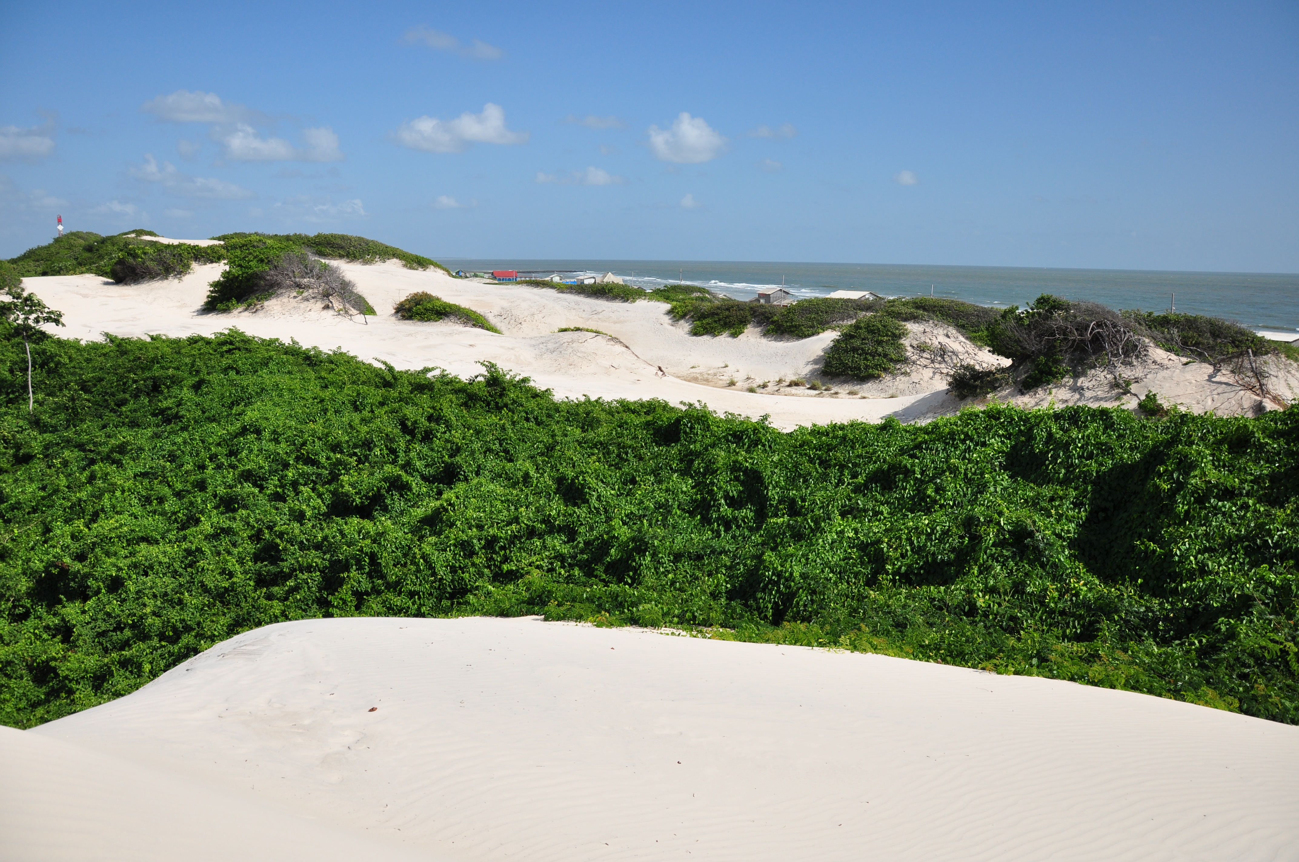 Dunas da Praia da Princesa