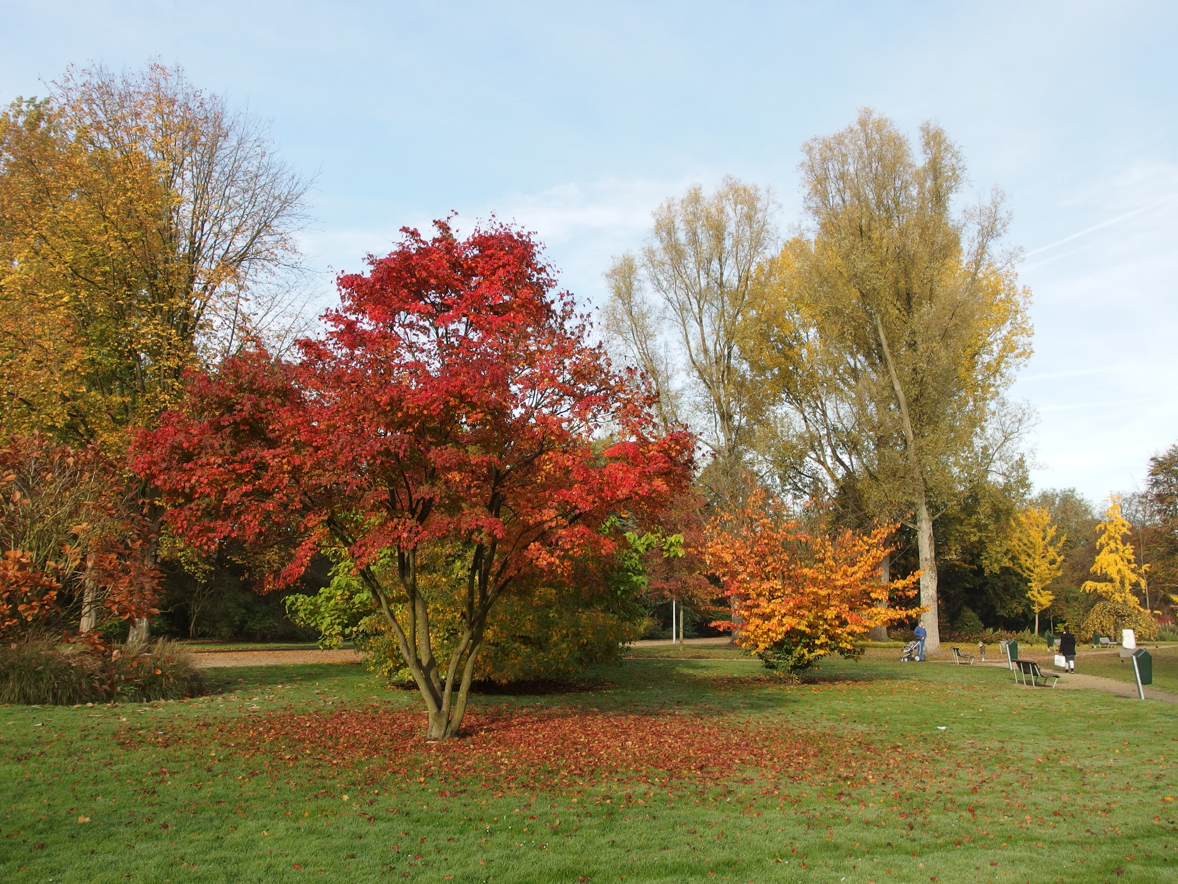 Amstelpark