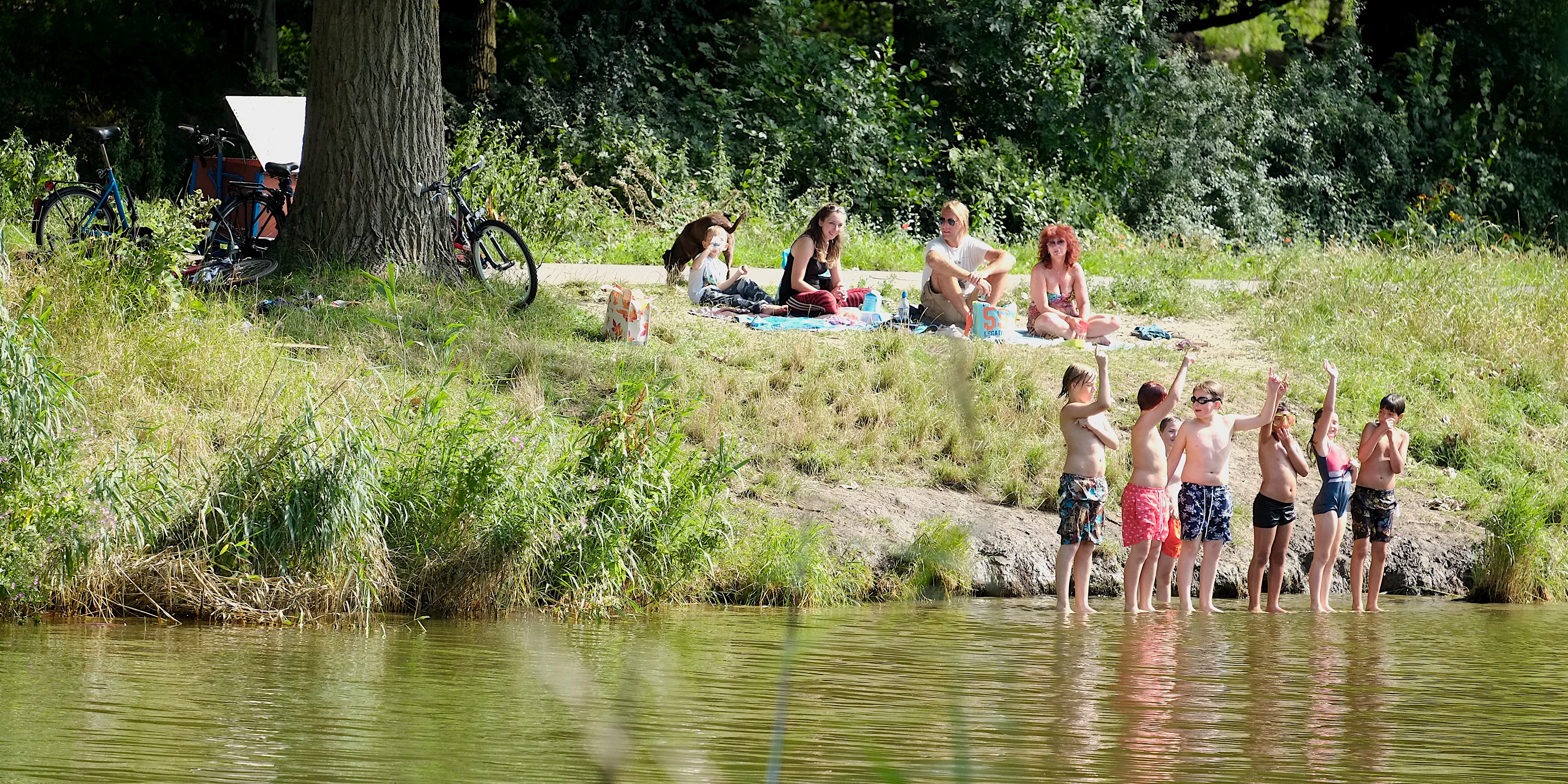 Noorderpark