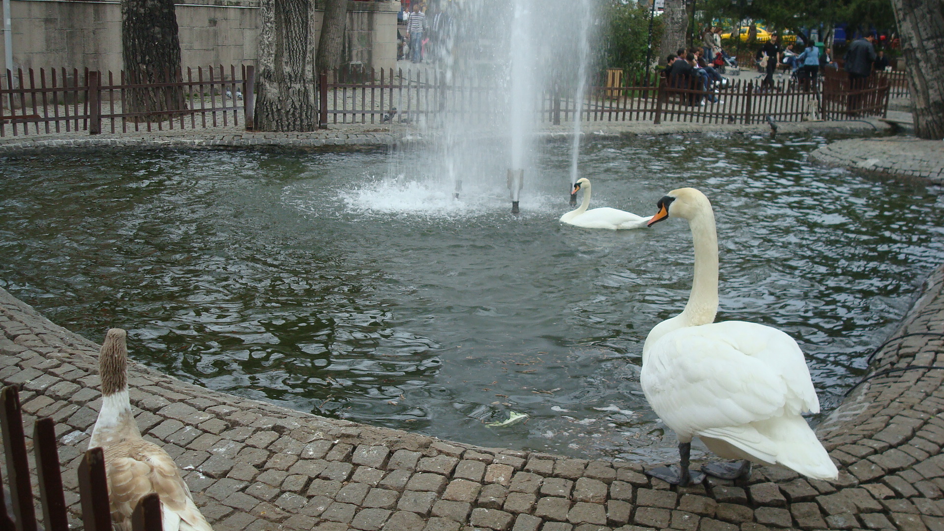 Kuğulu Park