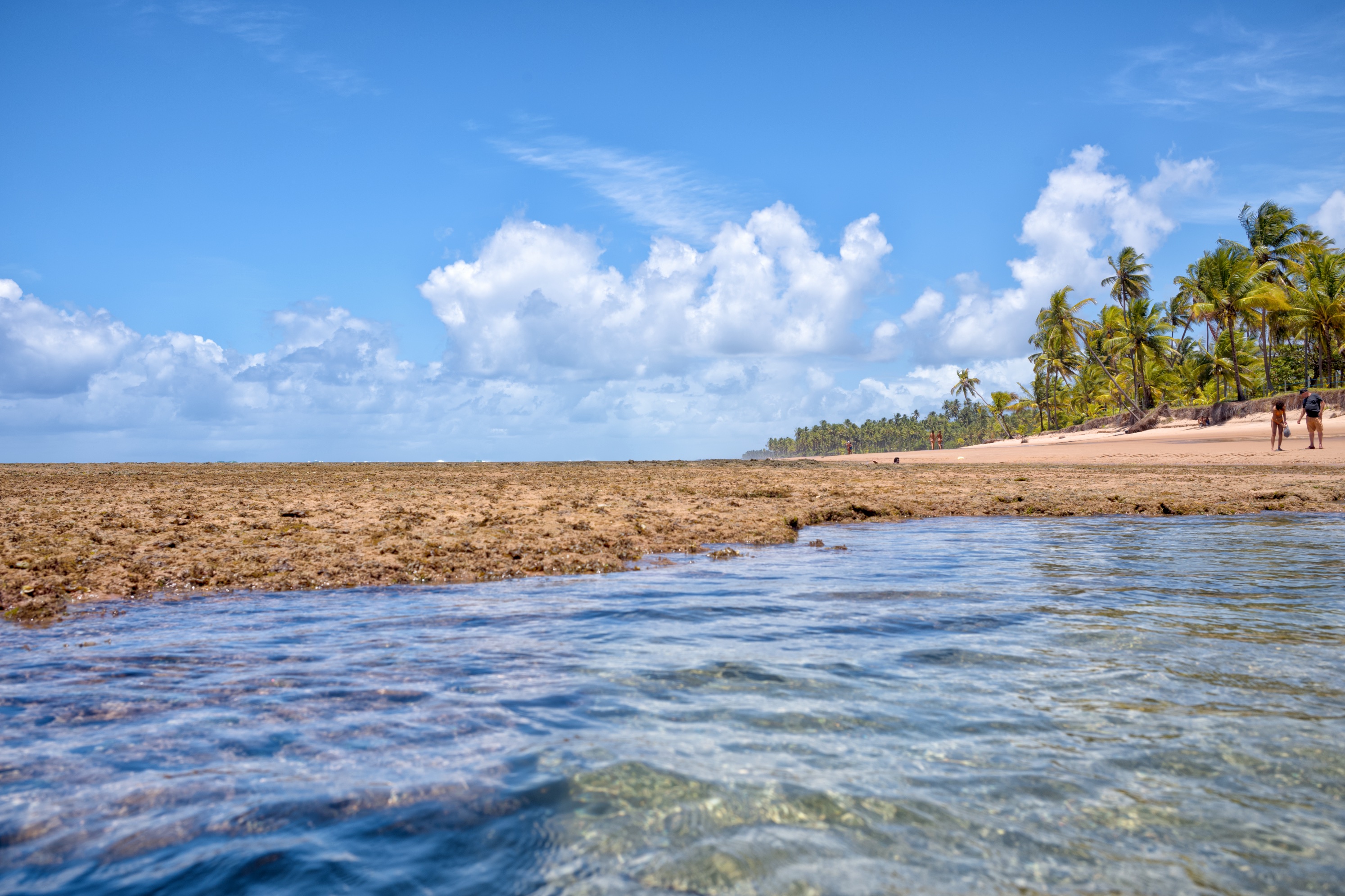 Piscinas Naturais da Península de Maraú