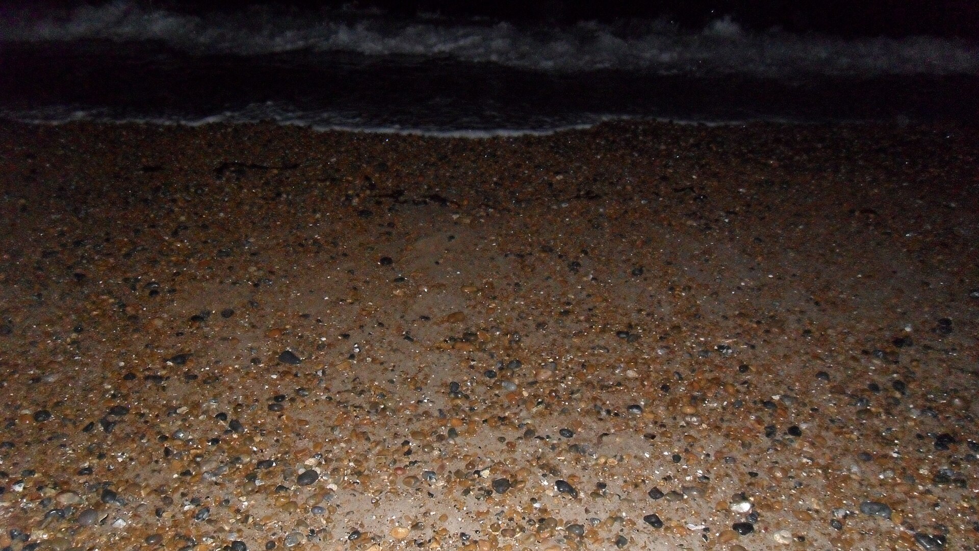 Praia de Brighton