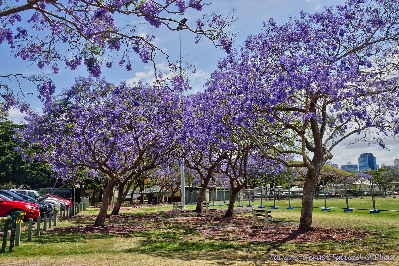 New Farm Park