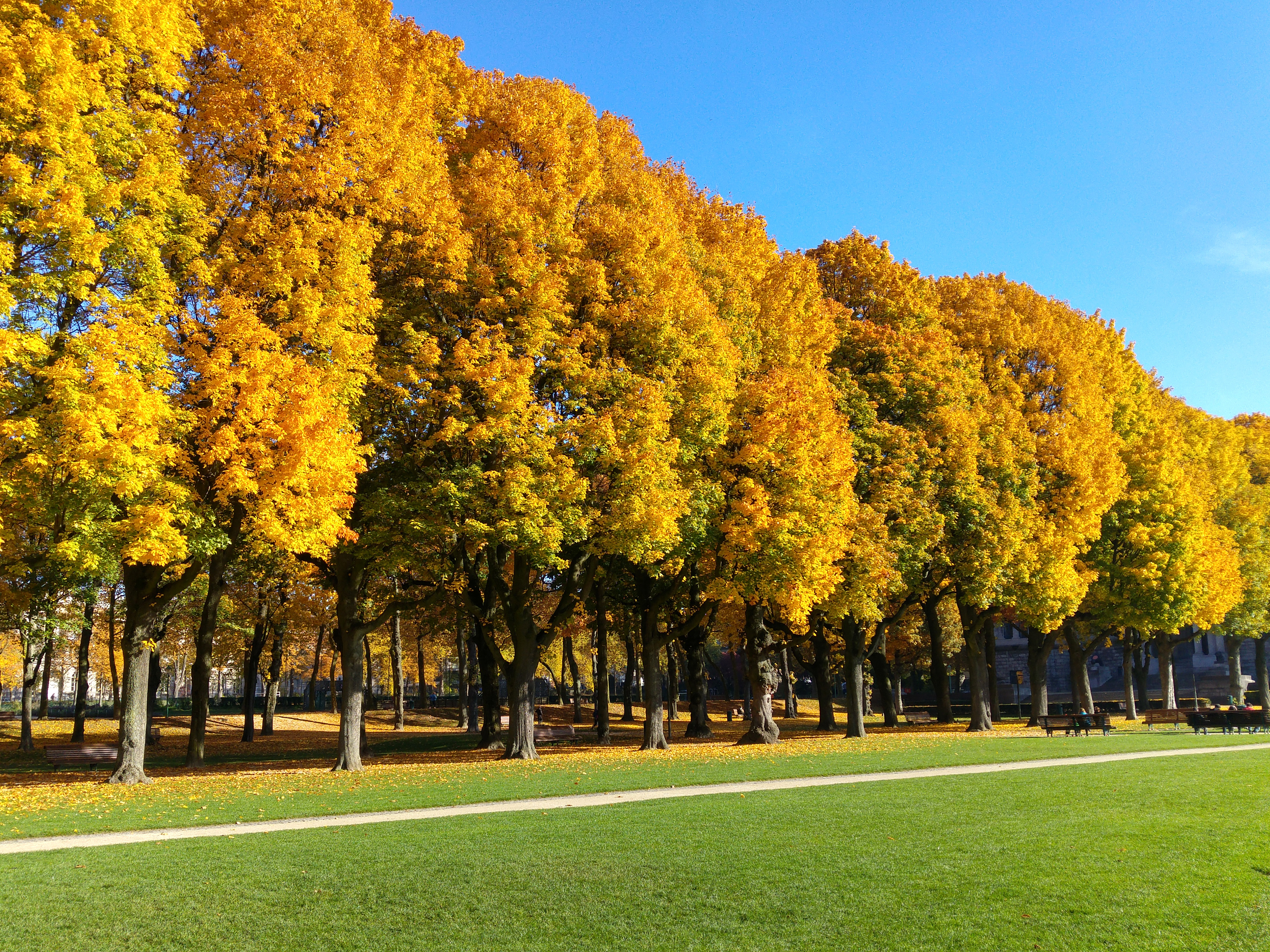 Parc du Cinquantenaire