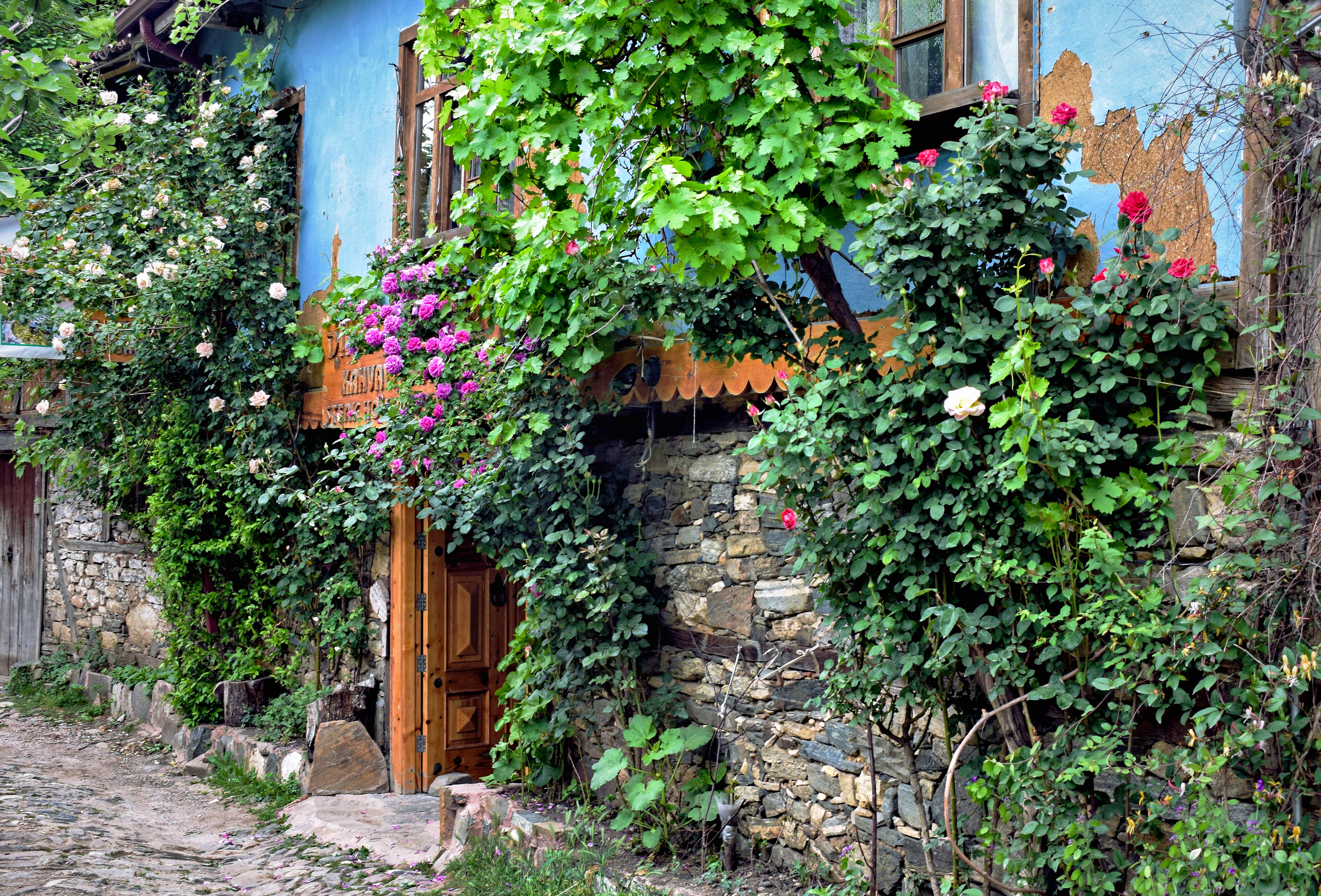 Vila Otomana de Cumalıkızık