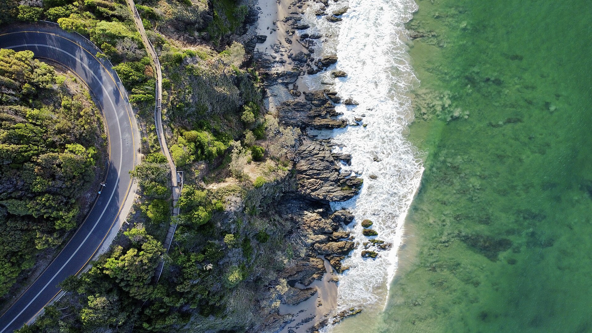 Cape Byron Walking Track