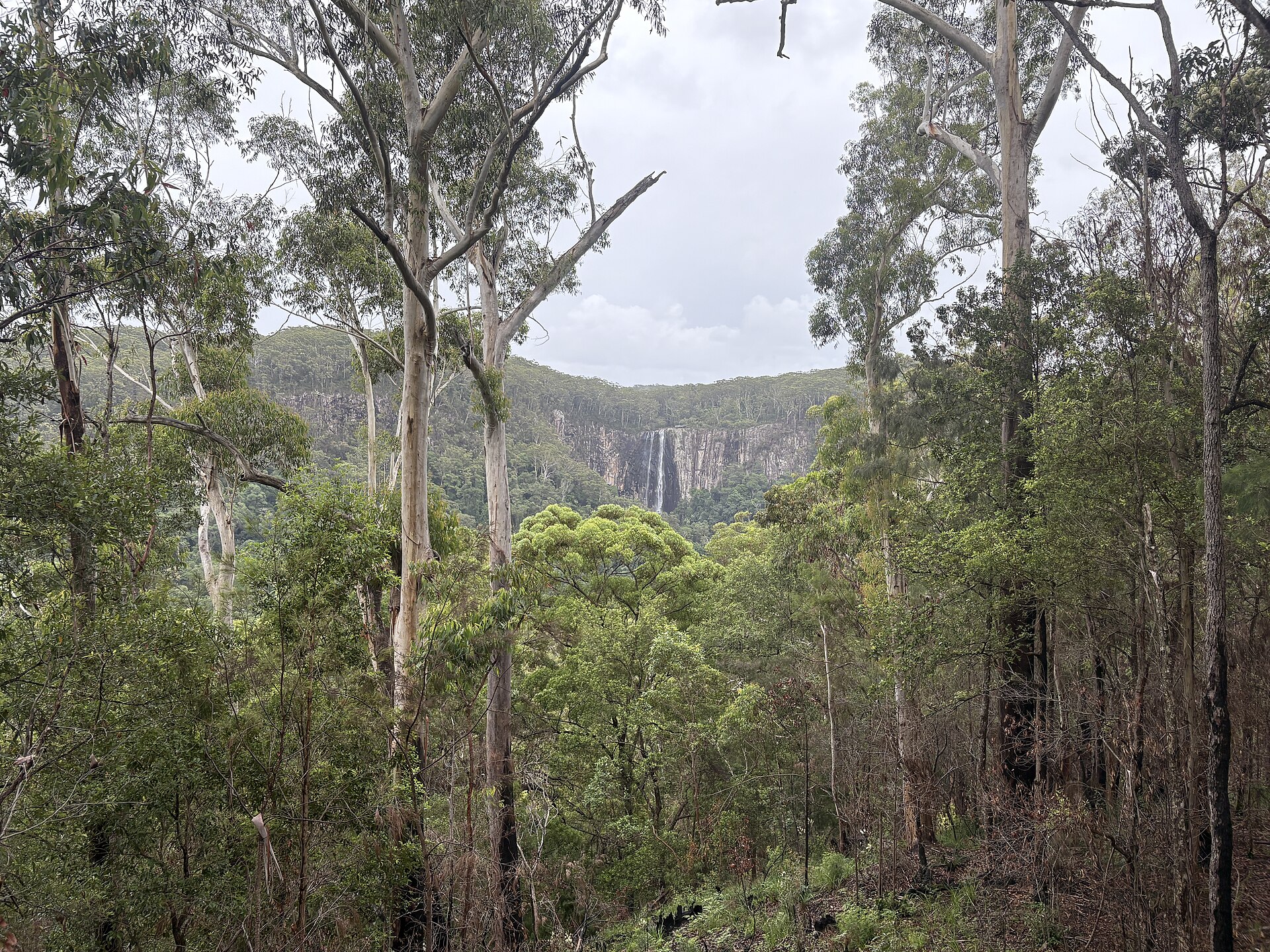 Minyon Falls