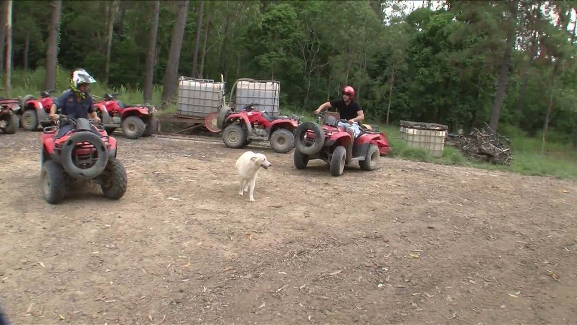 Blazing Saddles Adventures
