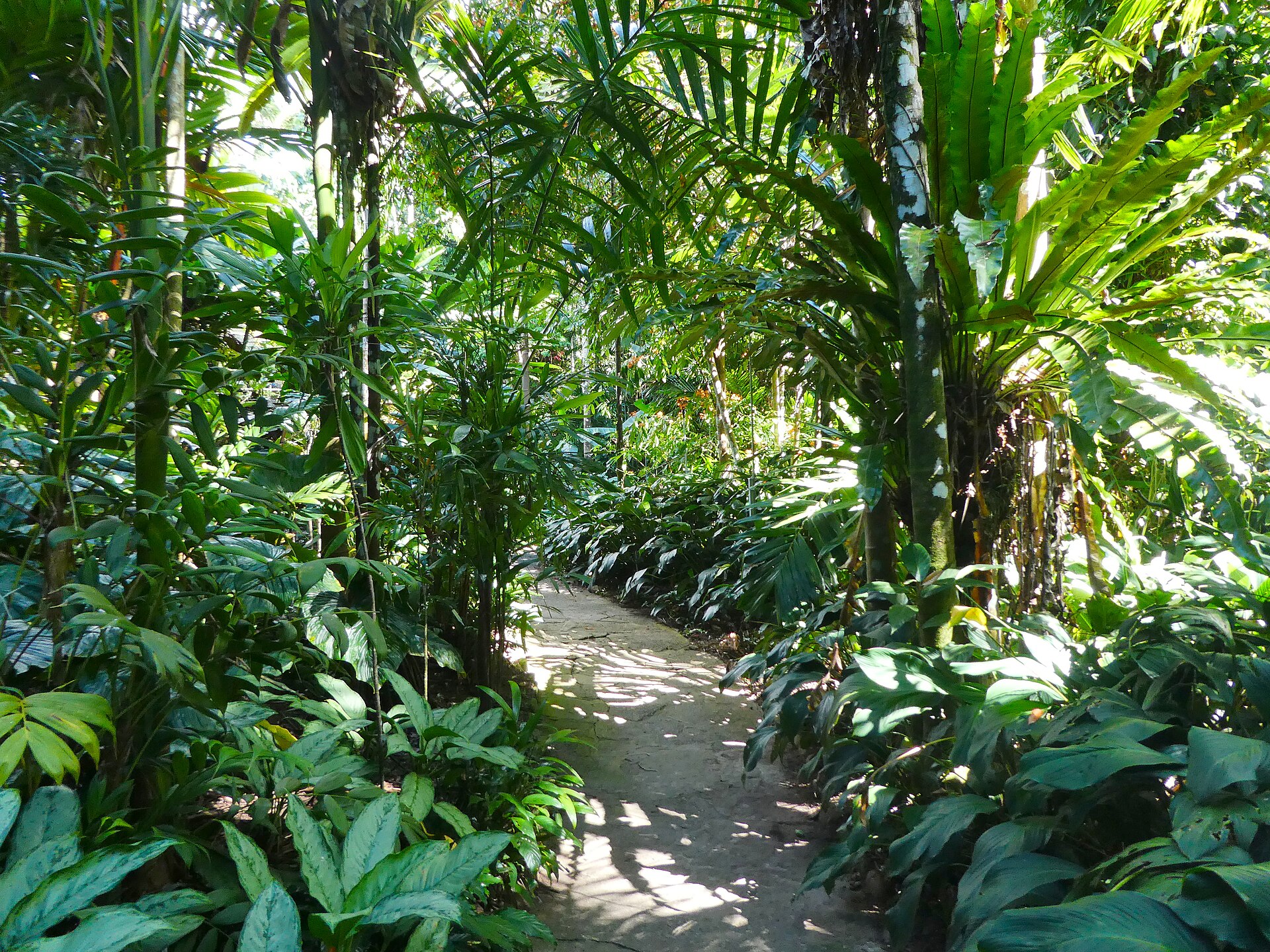 Cairns Botanic Gardens