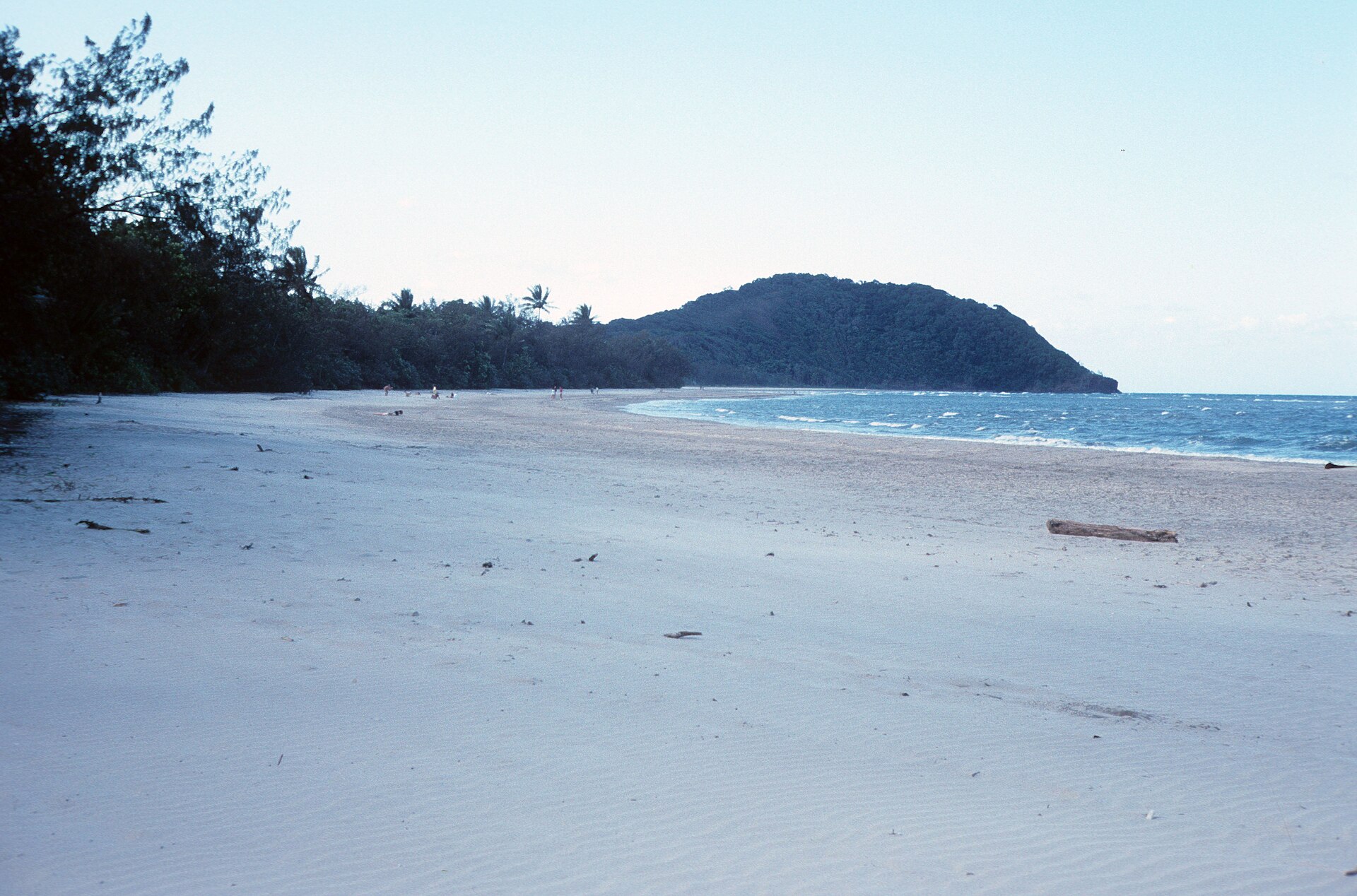 Cape Tribulation