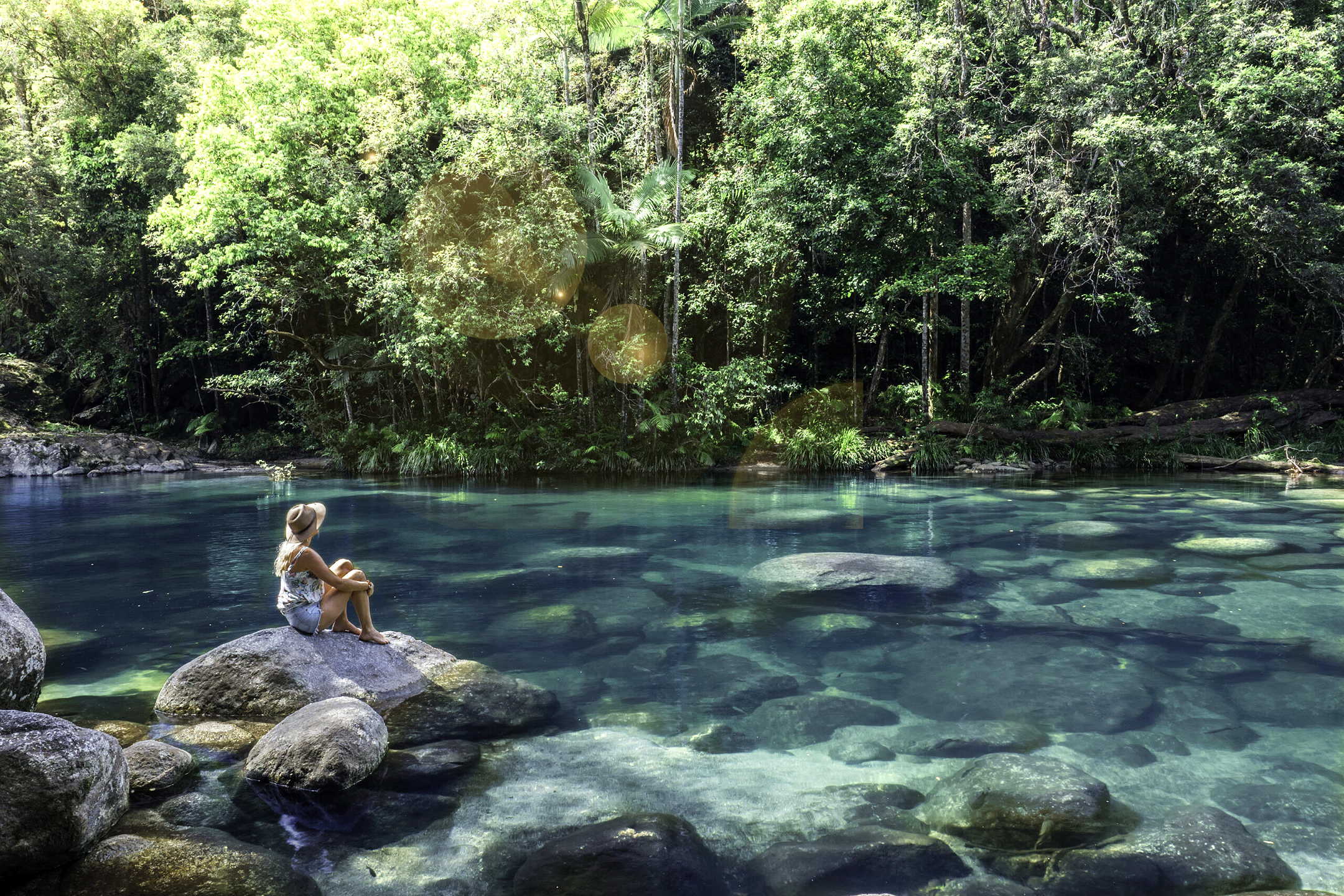 Daintree Ecolodge