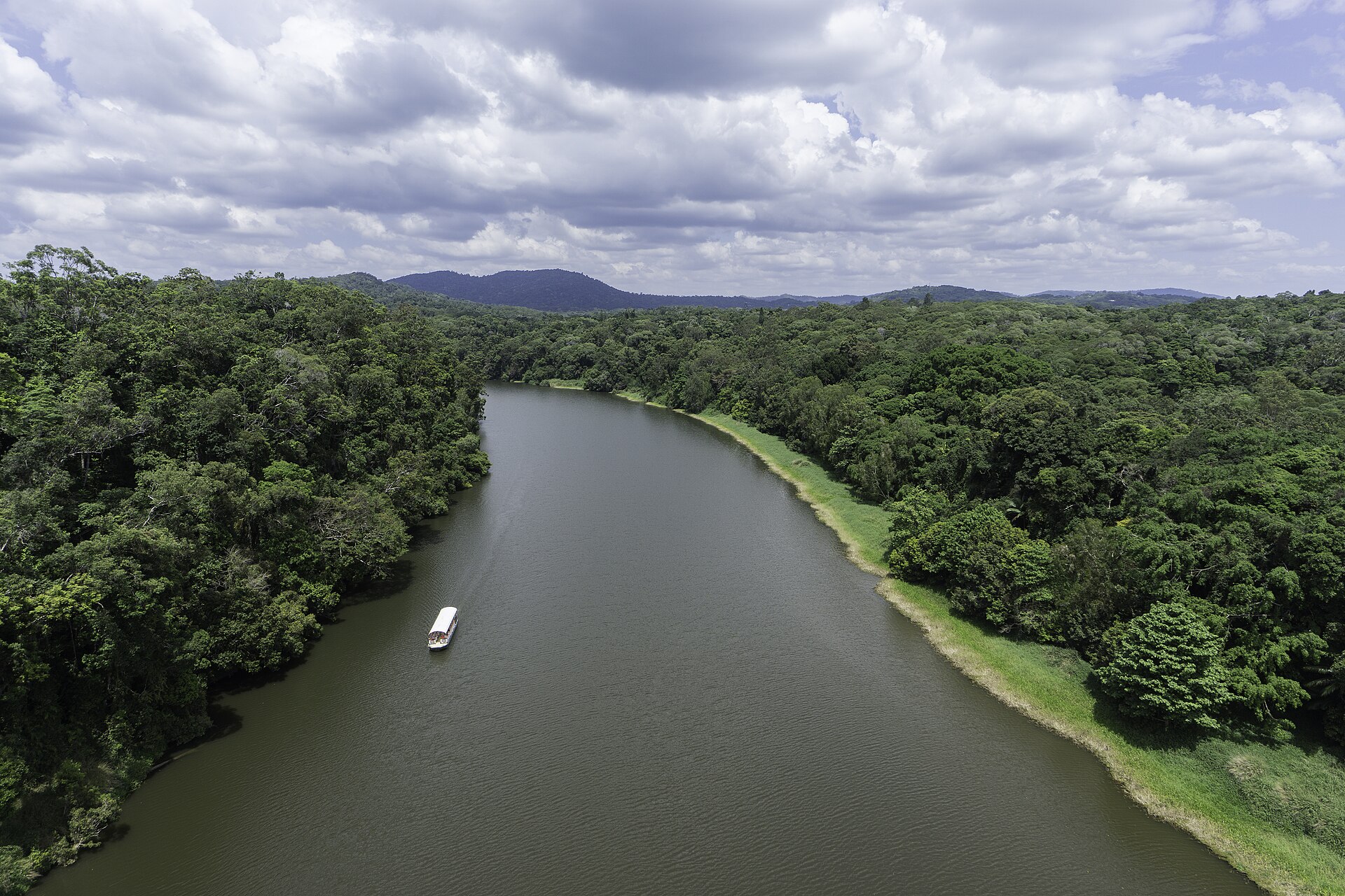 Skyrail Rainforest Cableway