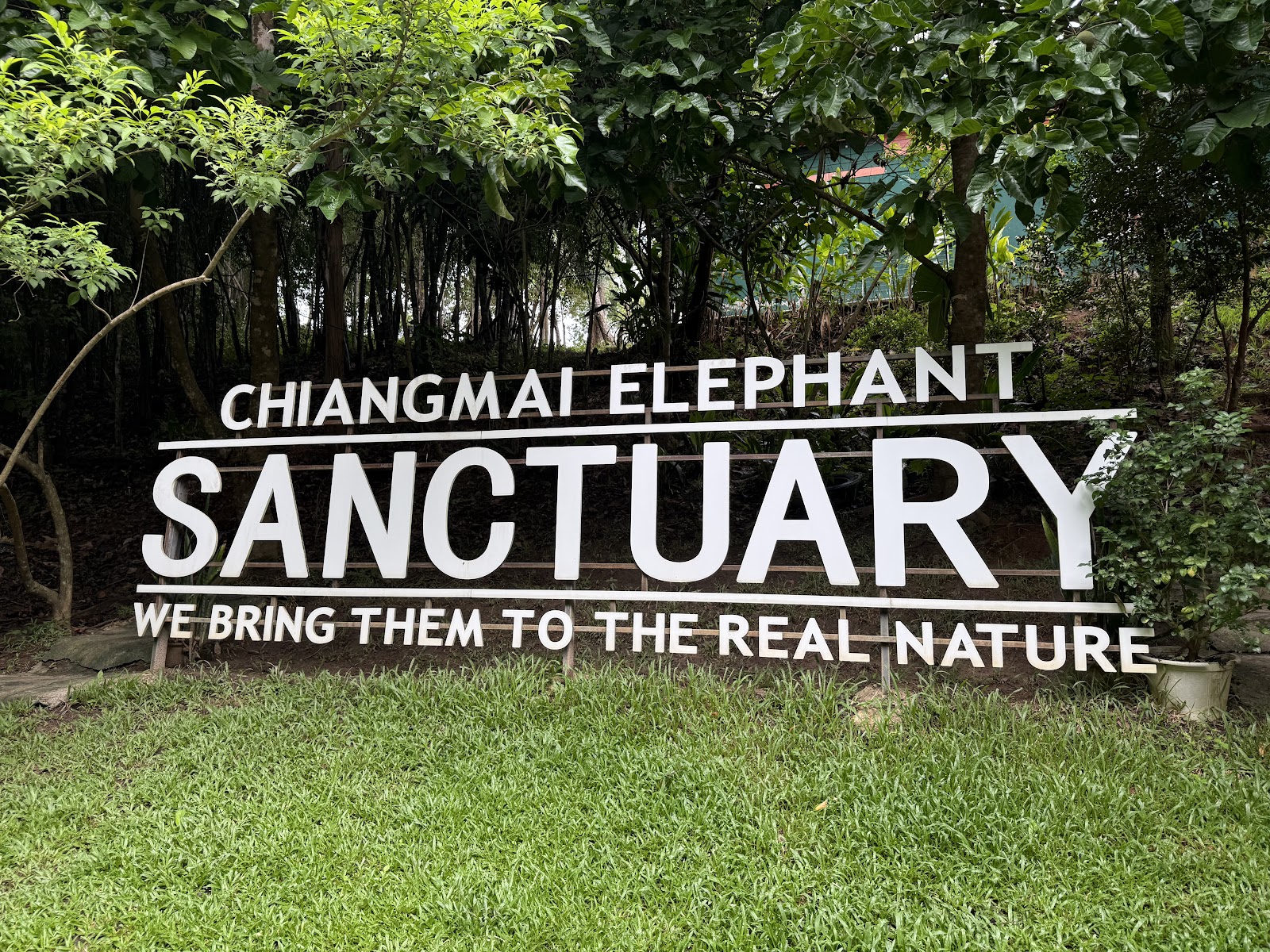 Santuário de Elefantes de Chiang Mai
