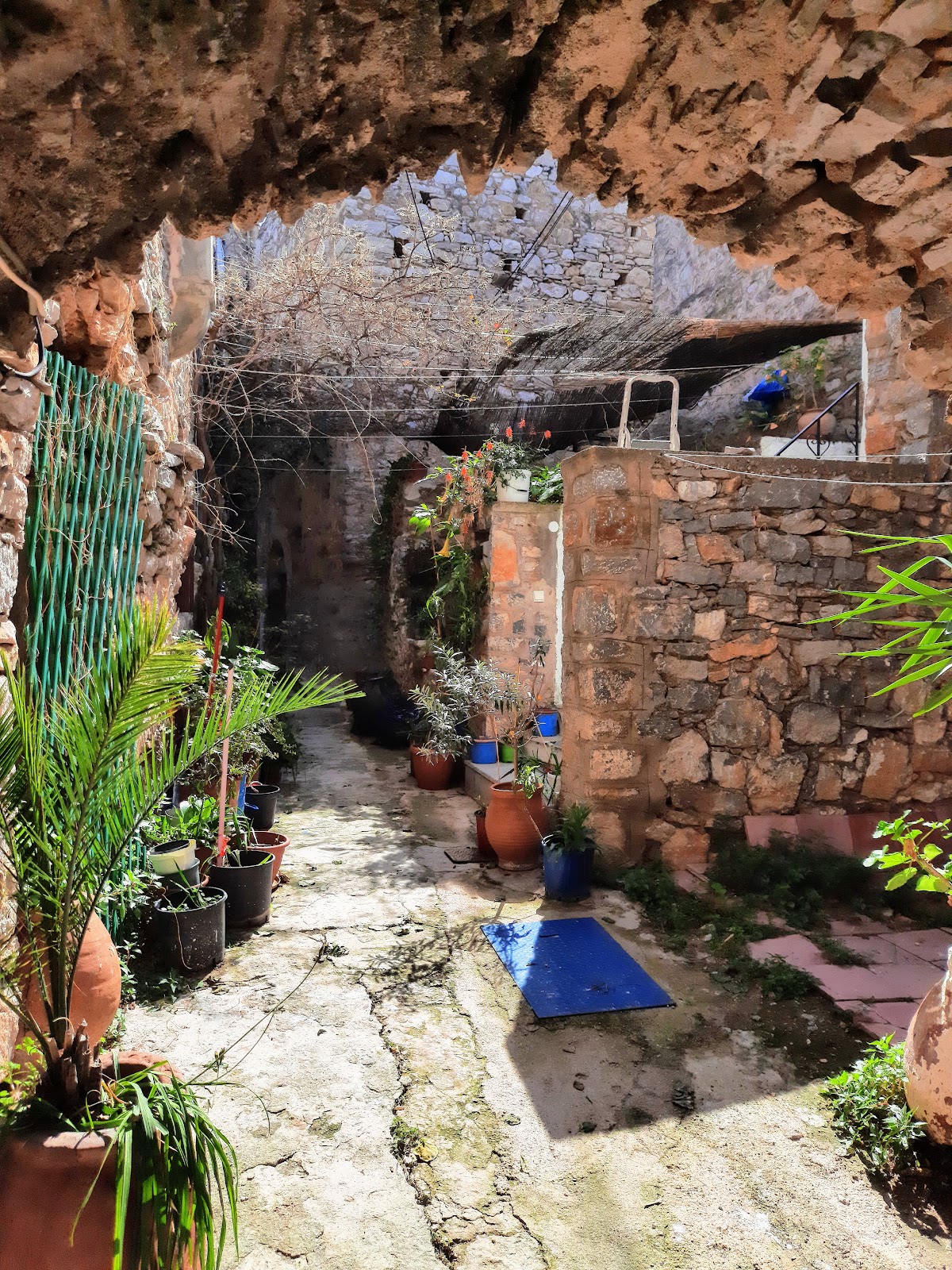 Mesta