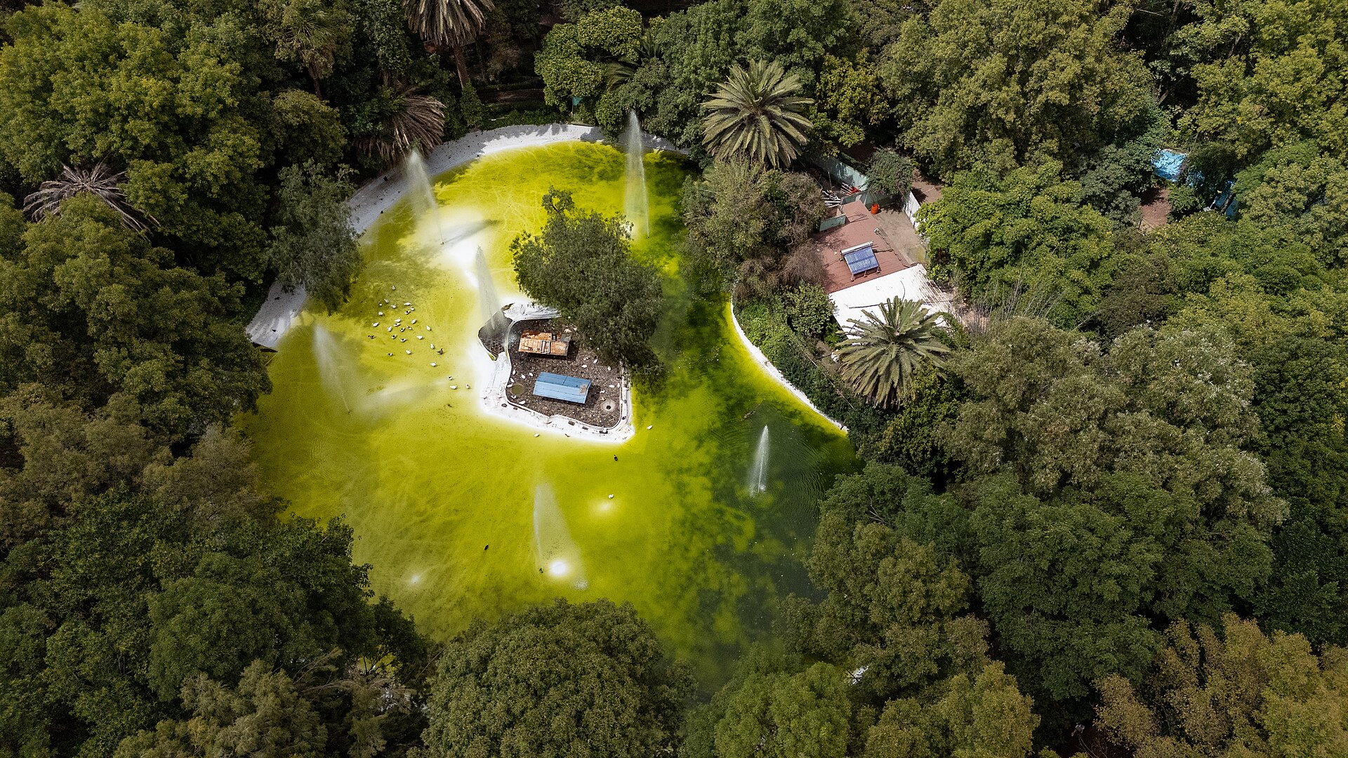 Parque México