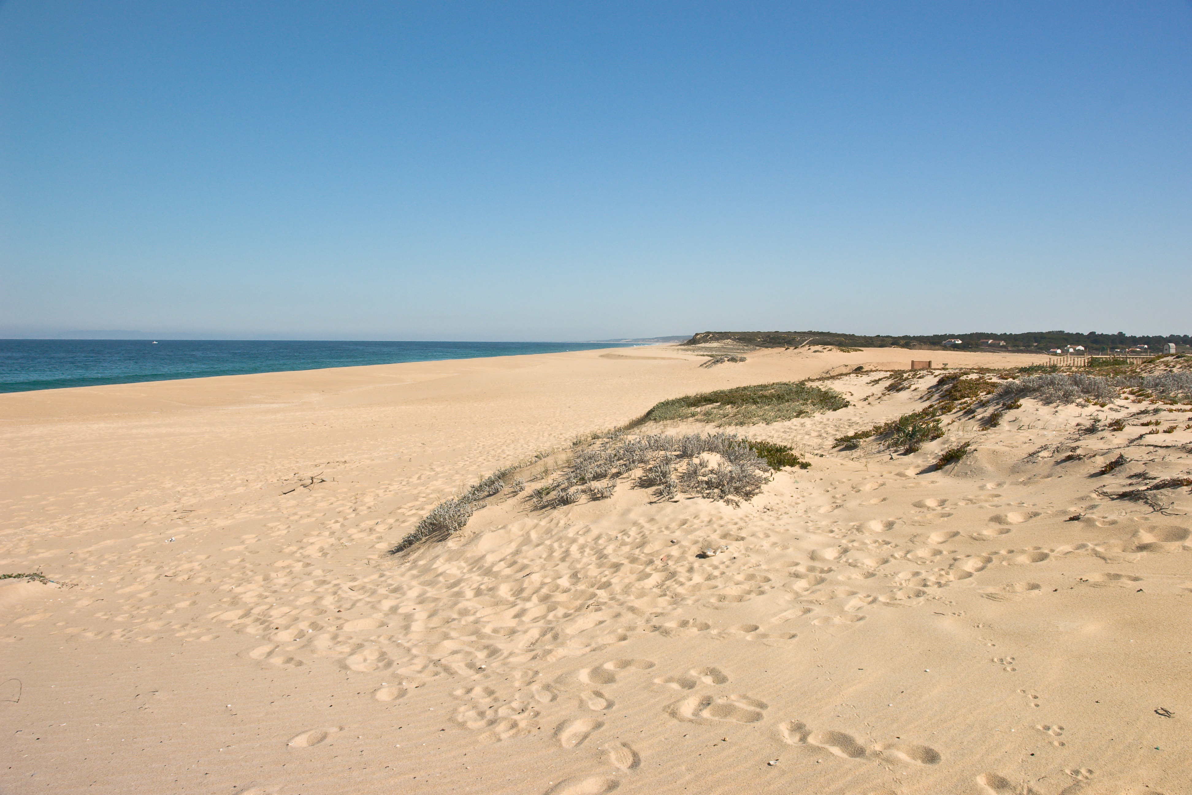 Praia de Melides