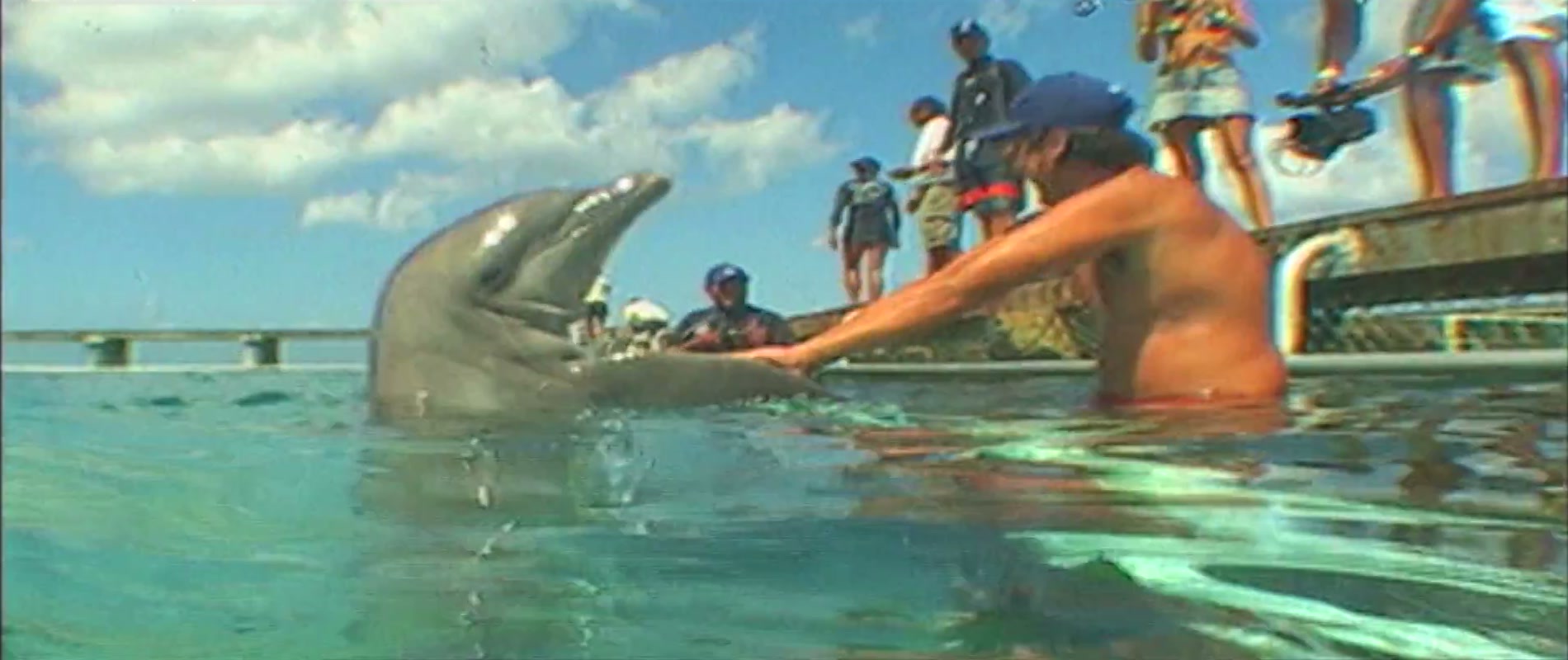 Dolphin Discovery Cozumel