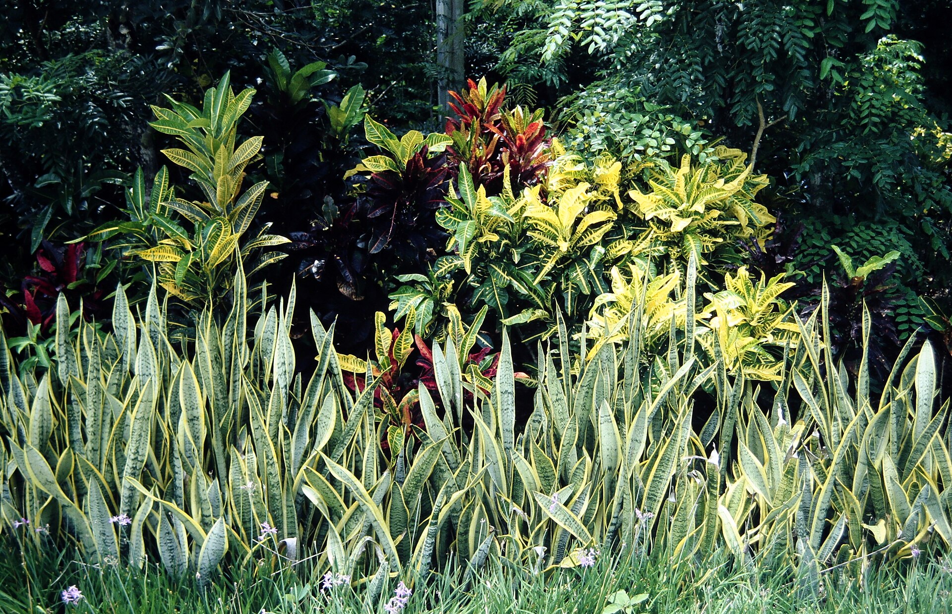 Parque Chankanaab