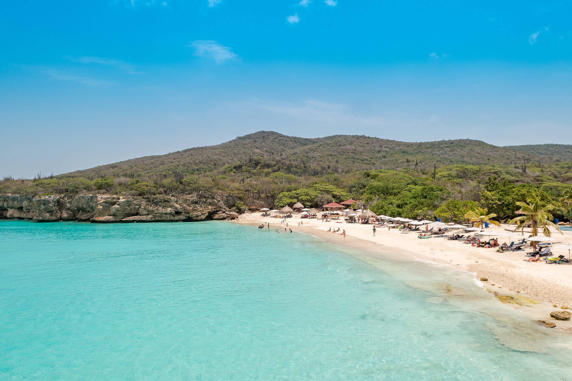 Grote Knip