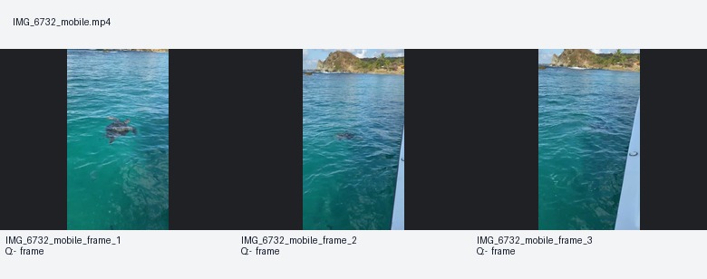 Batismo de mergulho em Noronha