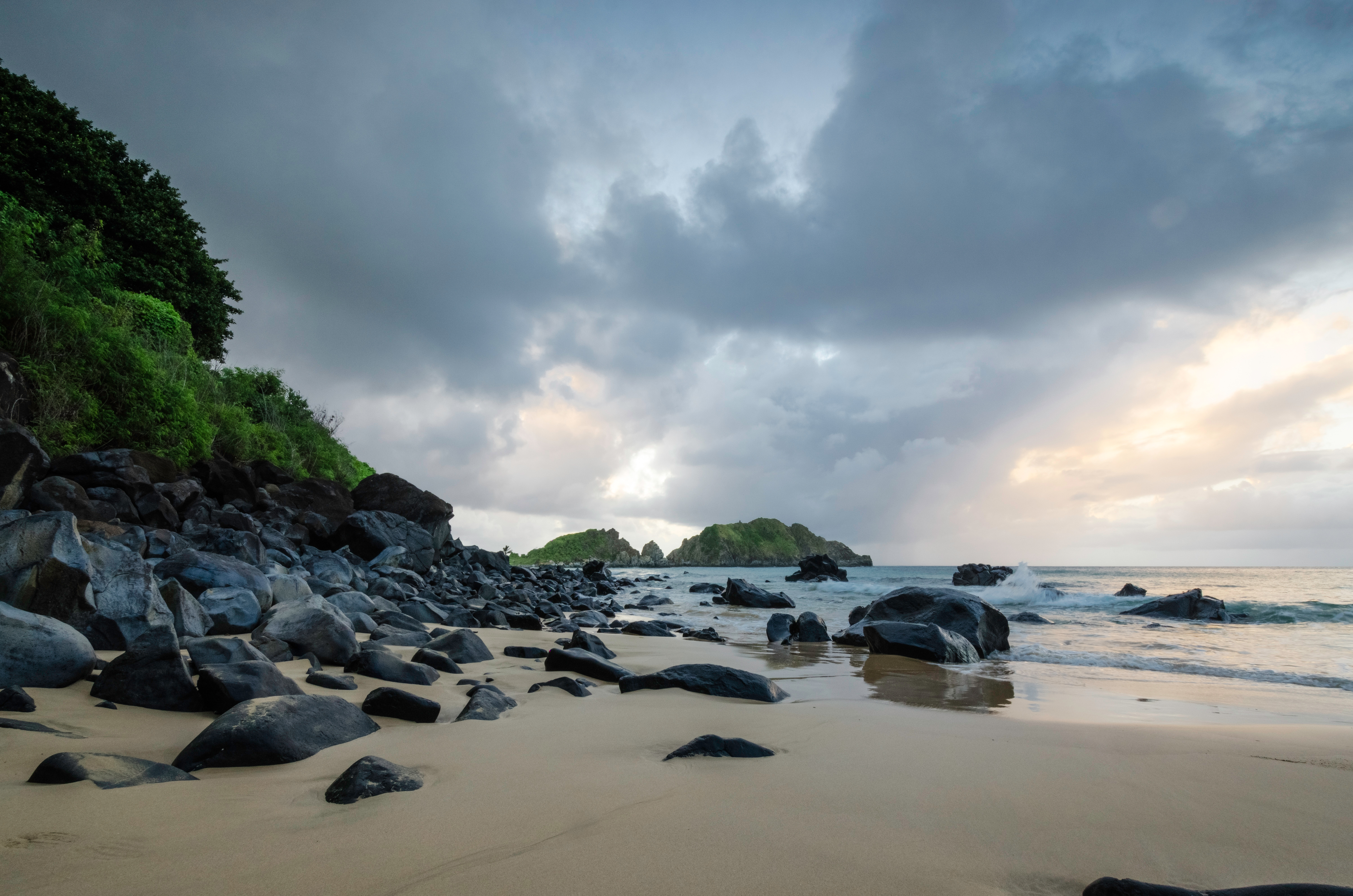 Praia do Cachorro