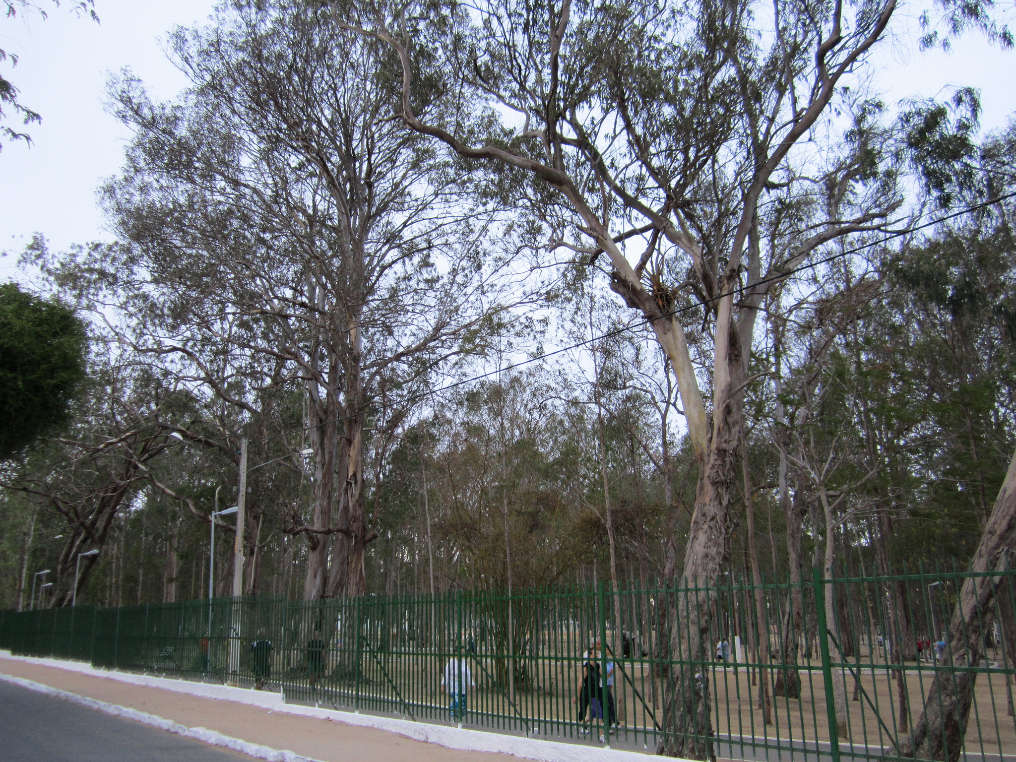 Parque Euclides Dourado