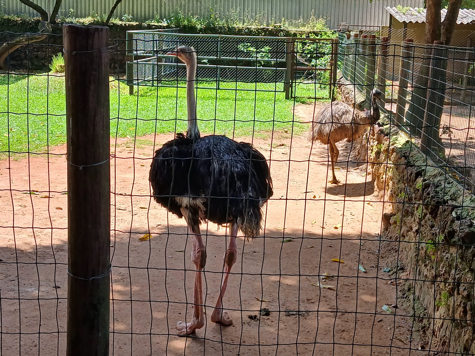 Horto - Zoológico de Goiânia