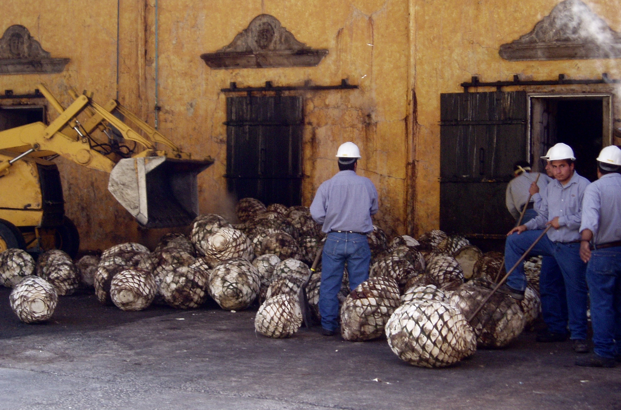 La Rojeña, destilaria José Cuervo