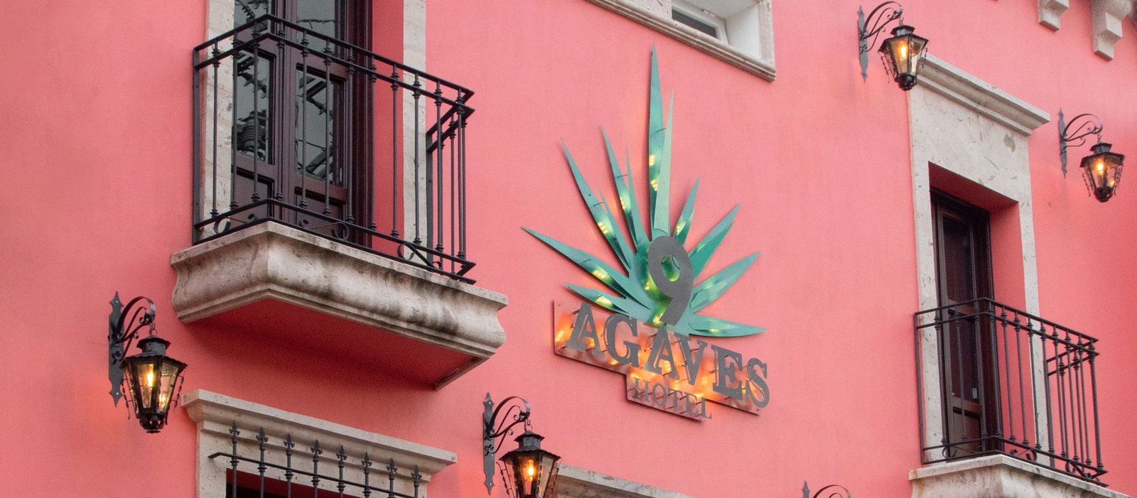 Nueve Agaves