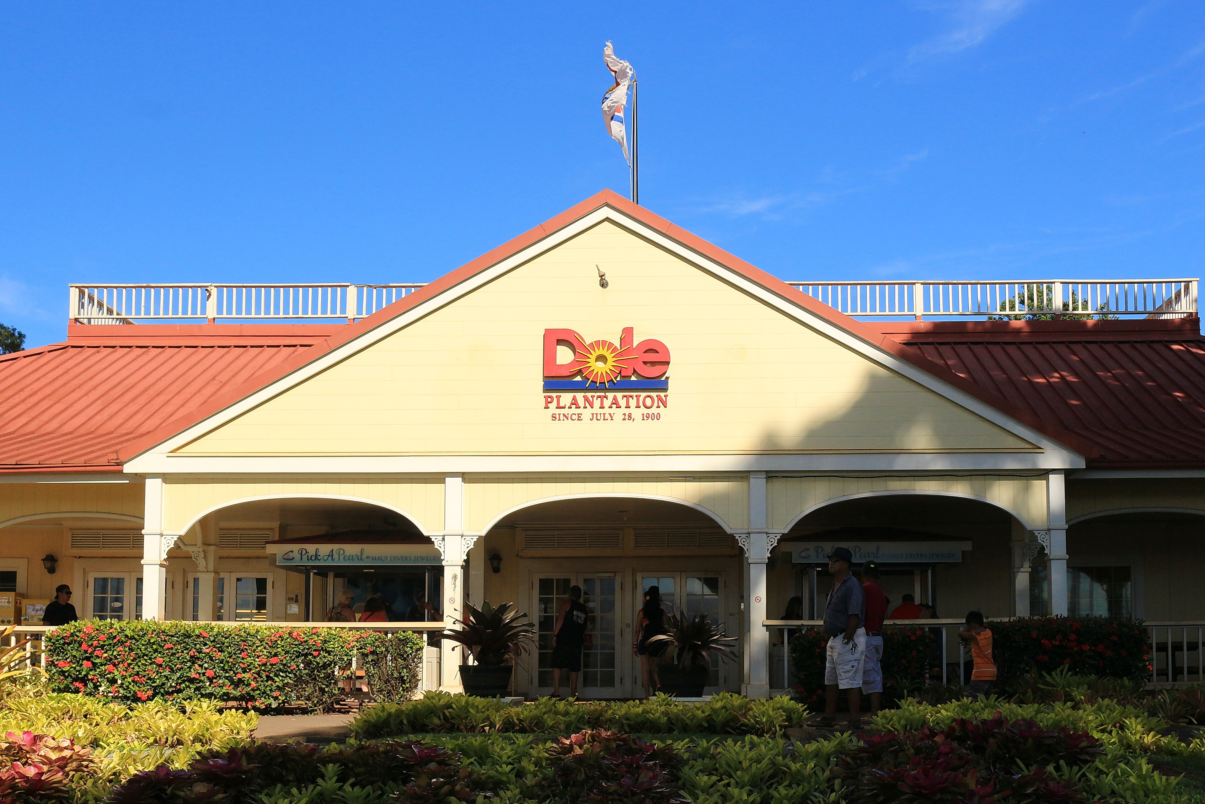 Dole Plantation