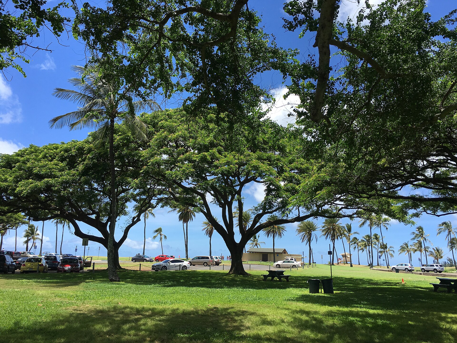 Haleiwa