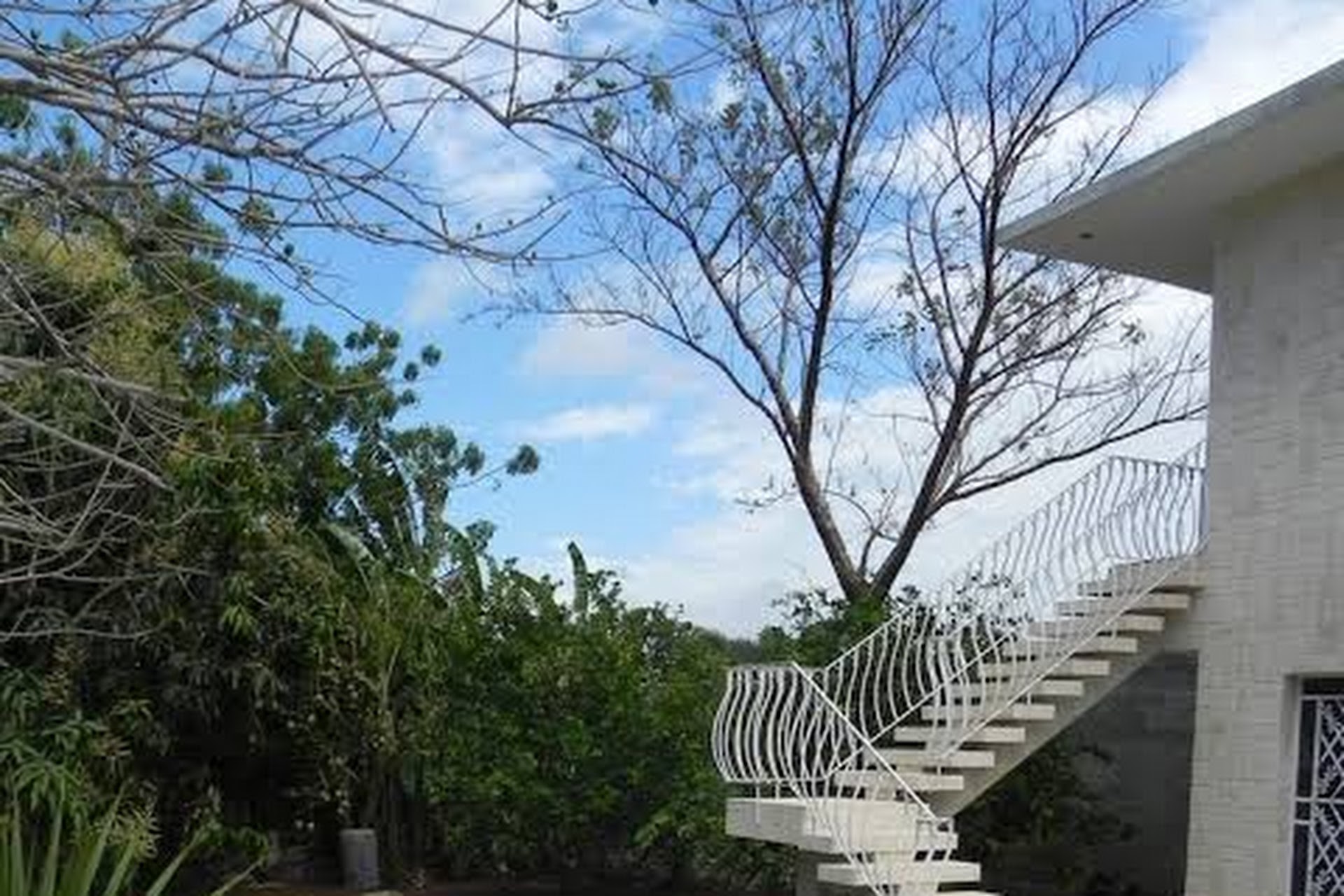 Casa de Dona Amélia
