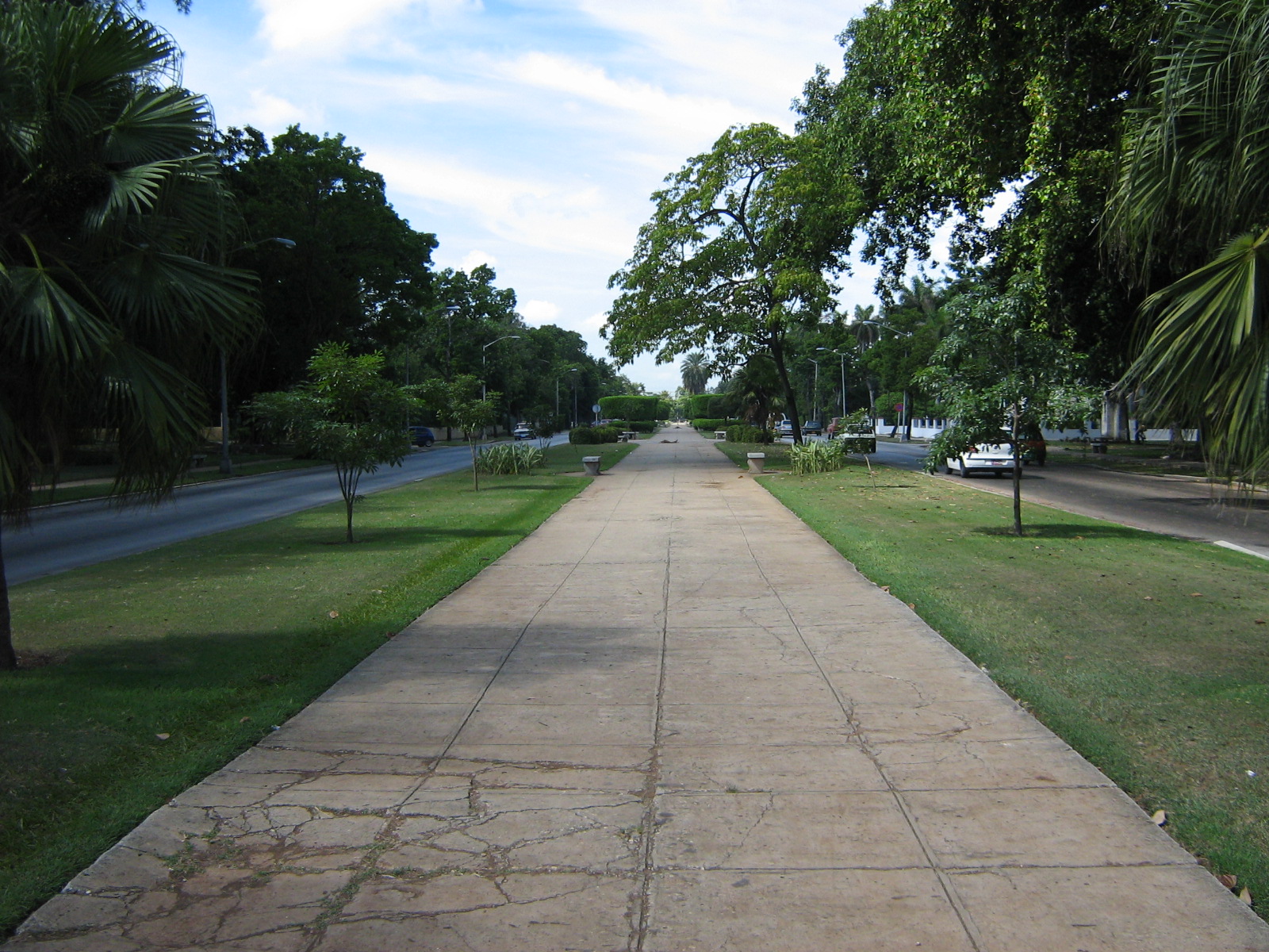 Quinta Avenida