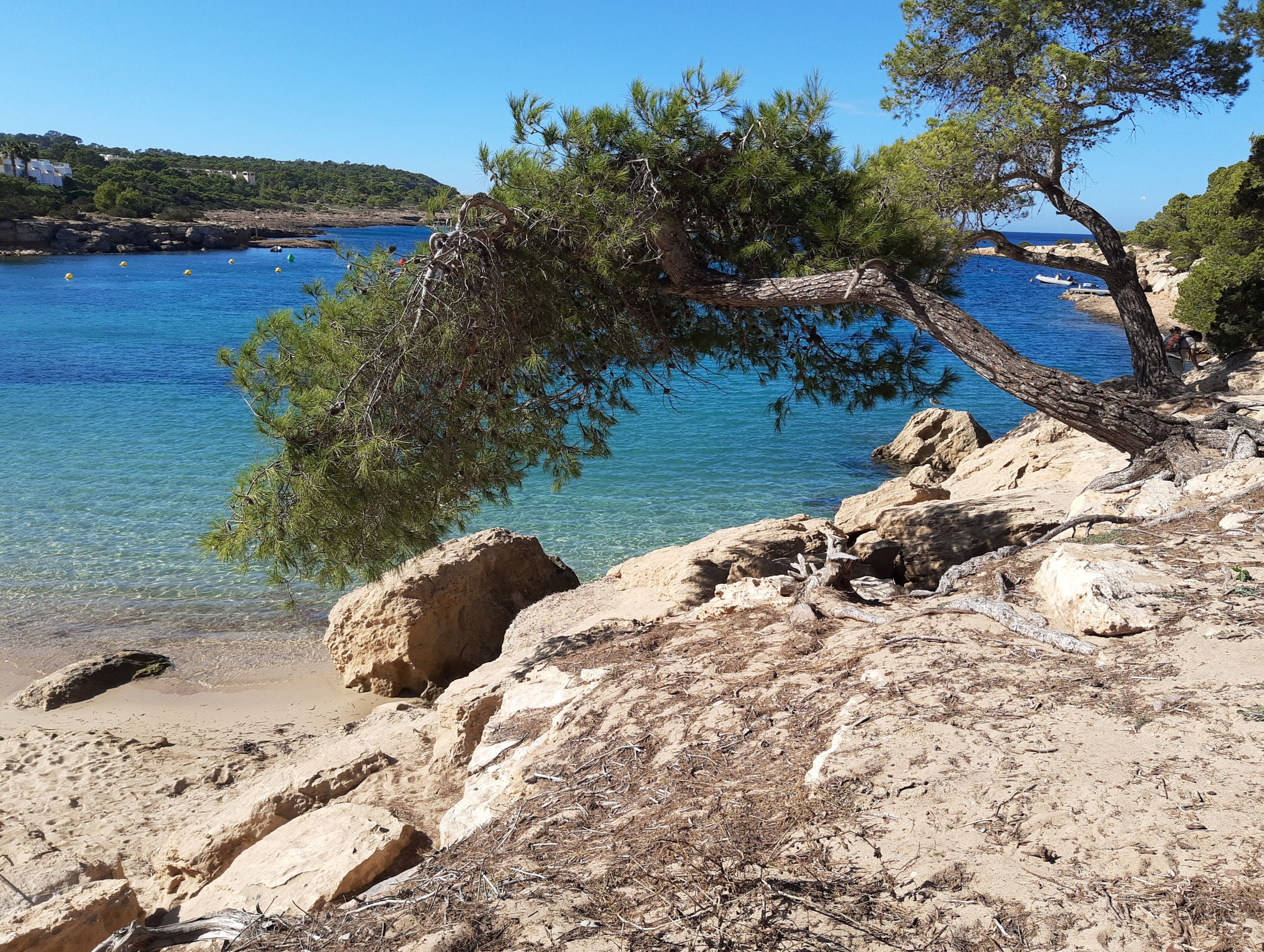 Port des Torrent
