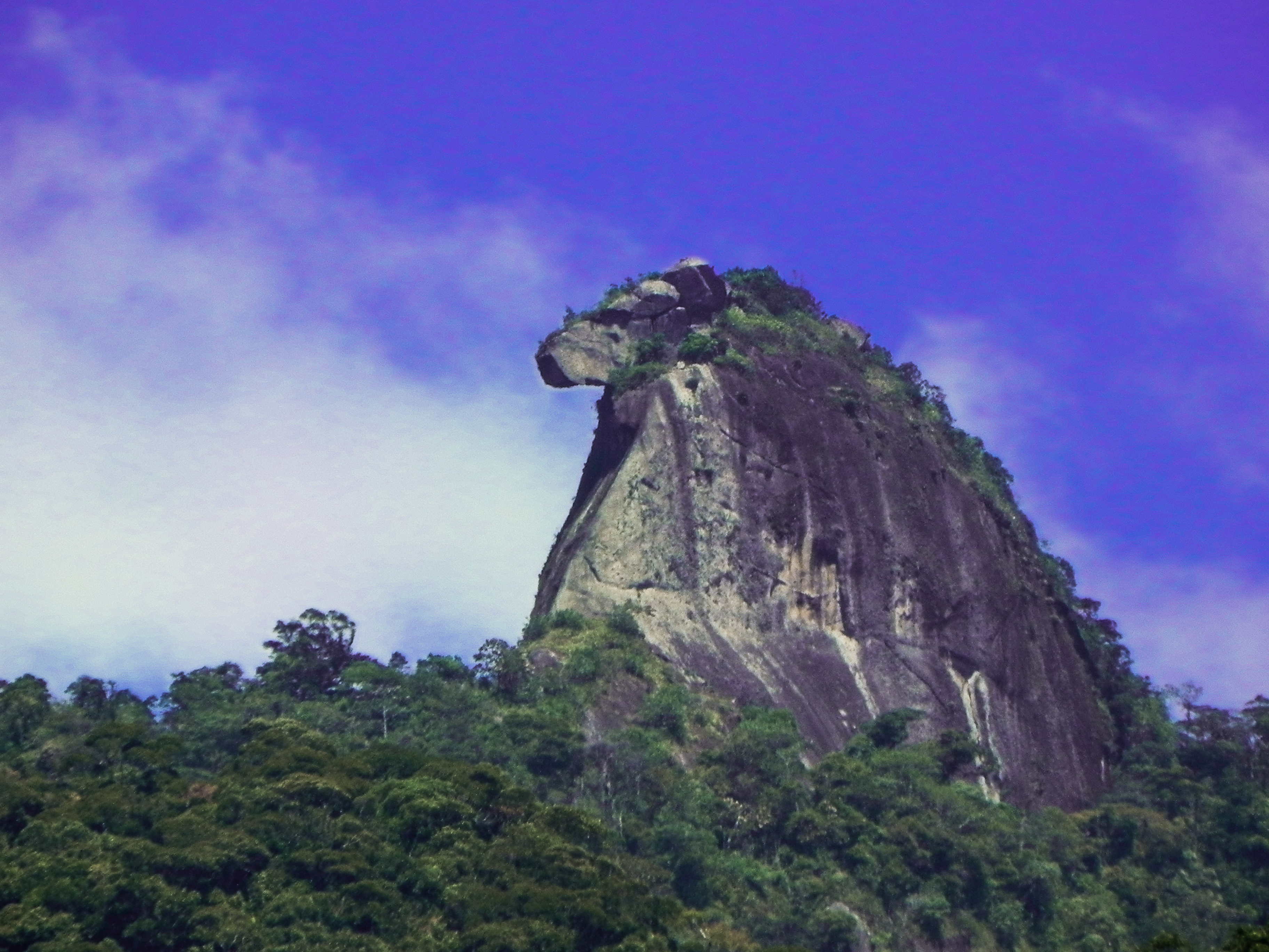 Trilha do Pico do Papagaio