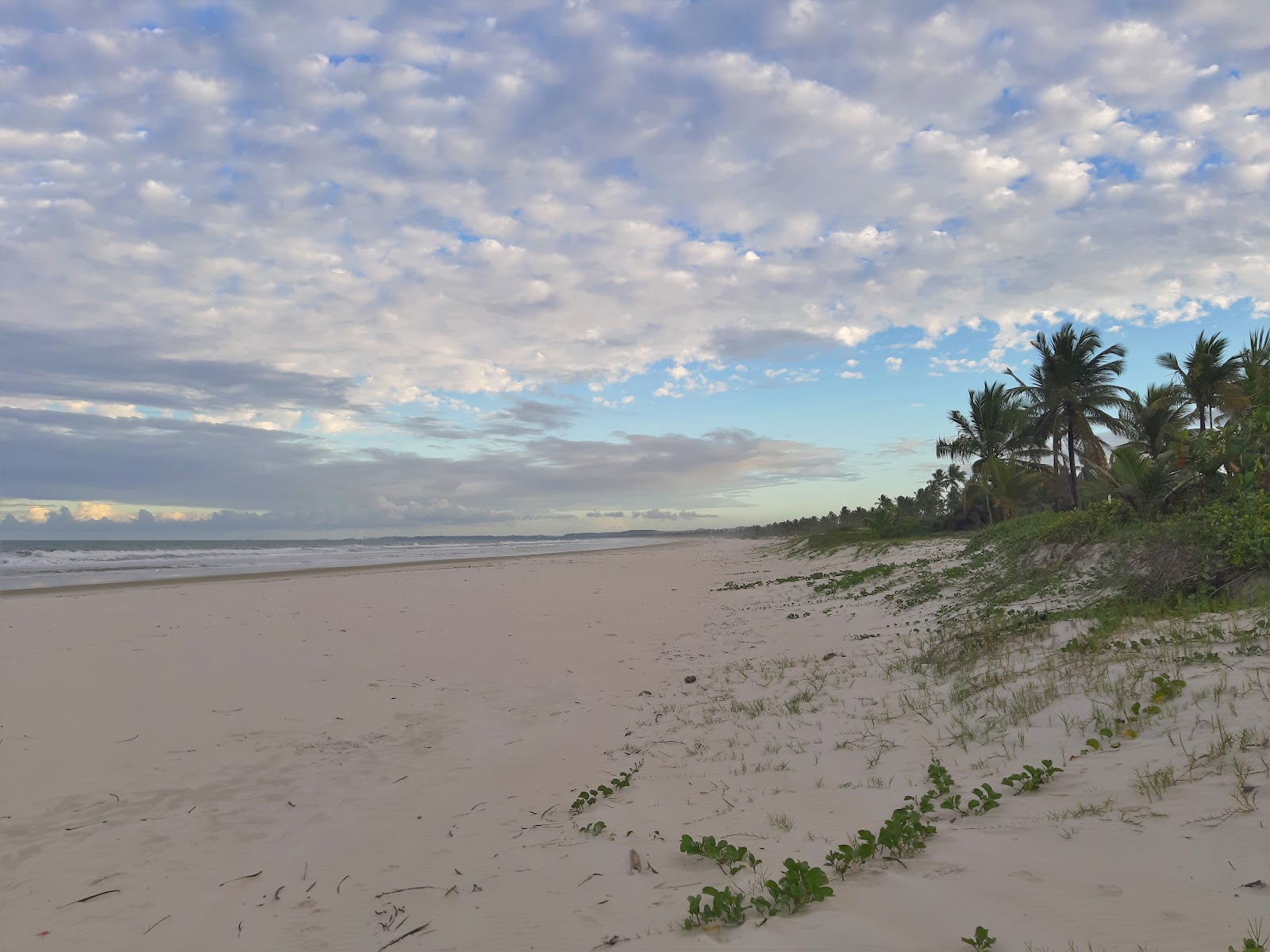 Praia da Ponta do Ramo