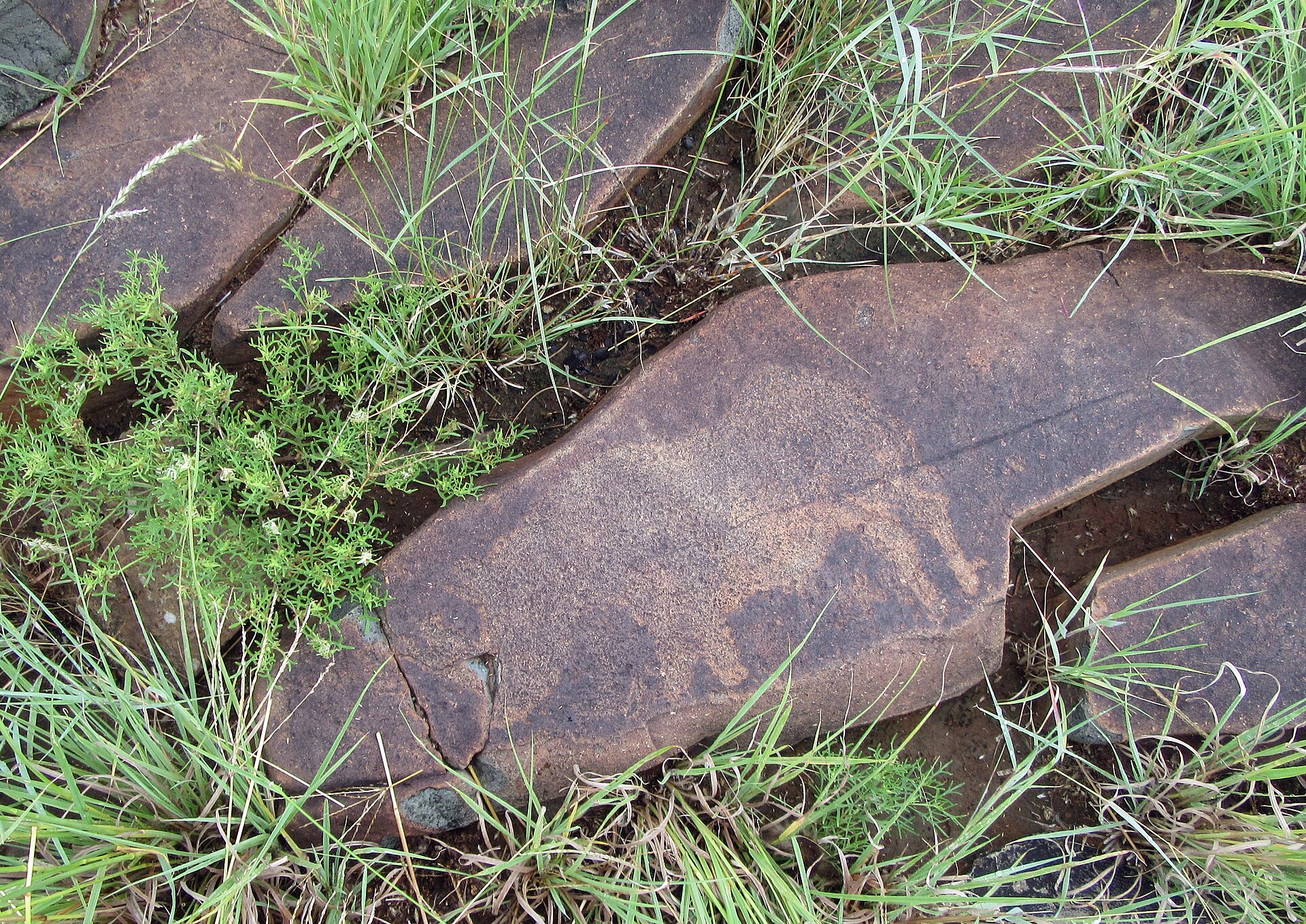 Wildebeest Kuil Rock Art Centre