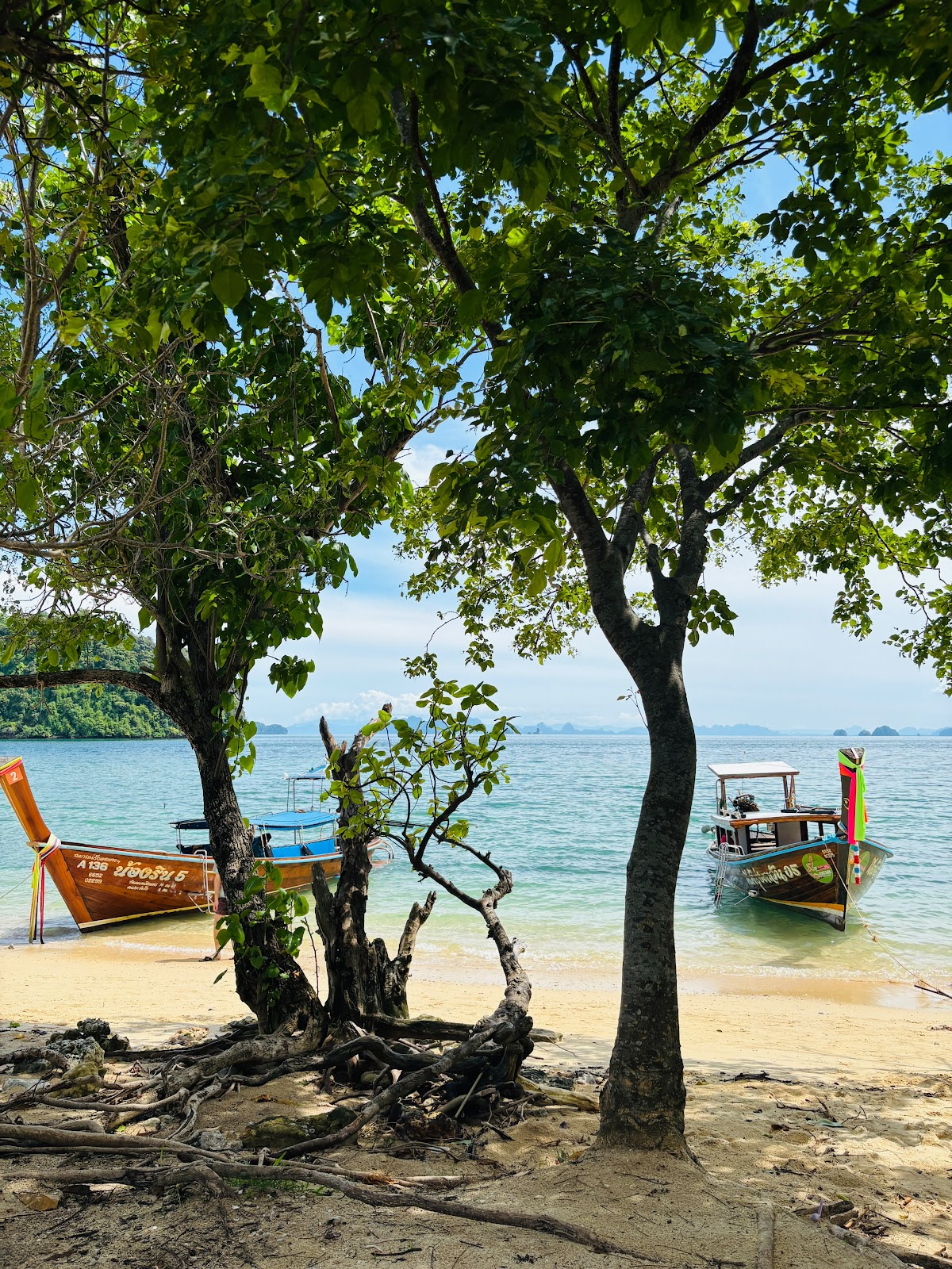 Hong Island - Lancha Compartilhada