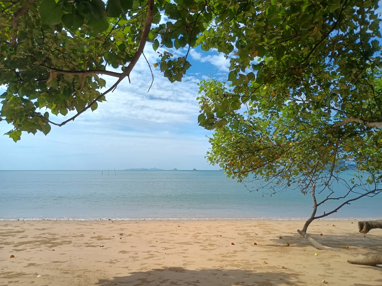 Joy Beach Bar