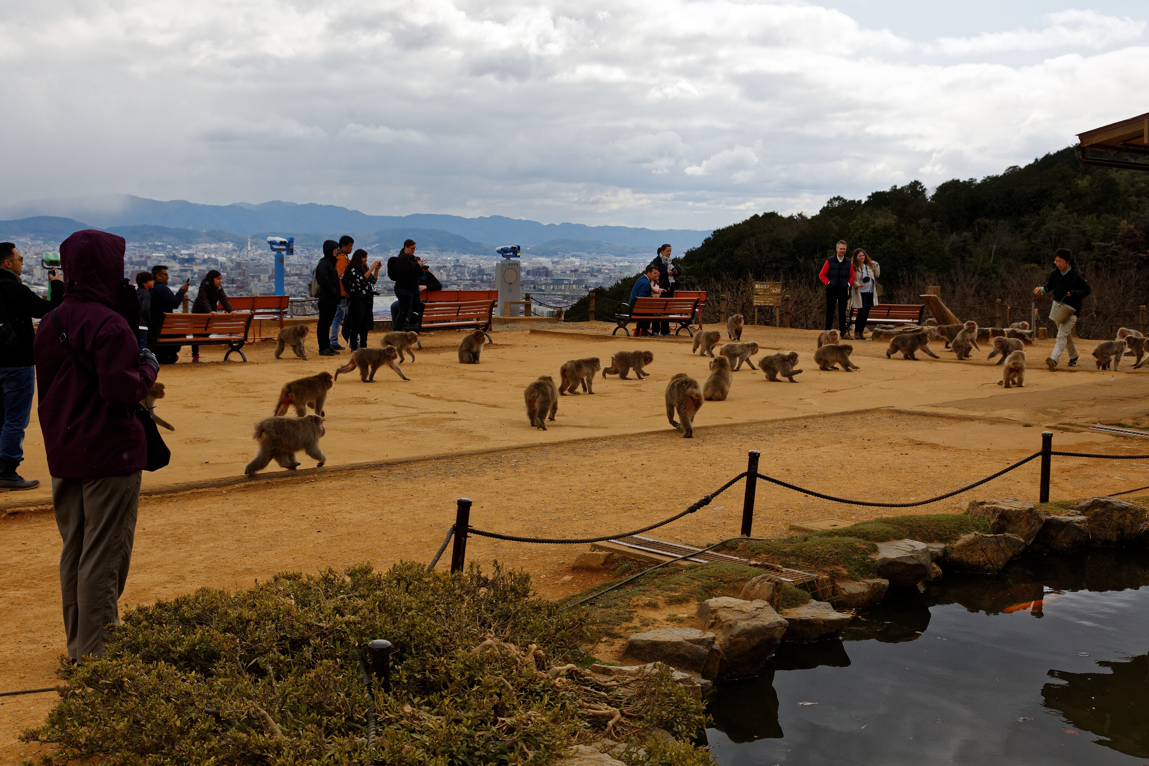 Arashiyama Monkey Park Iwatayama