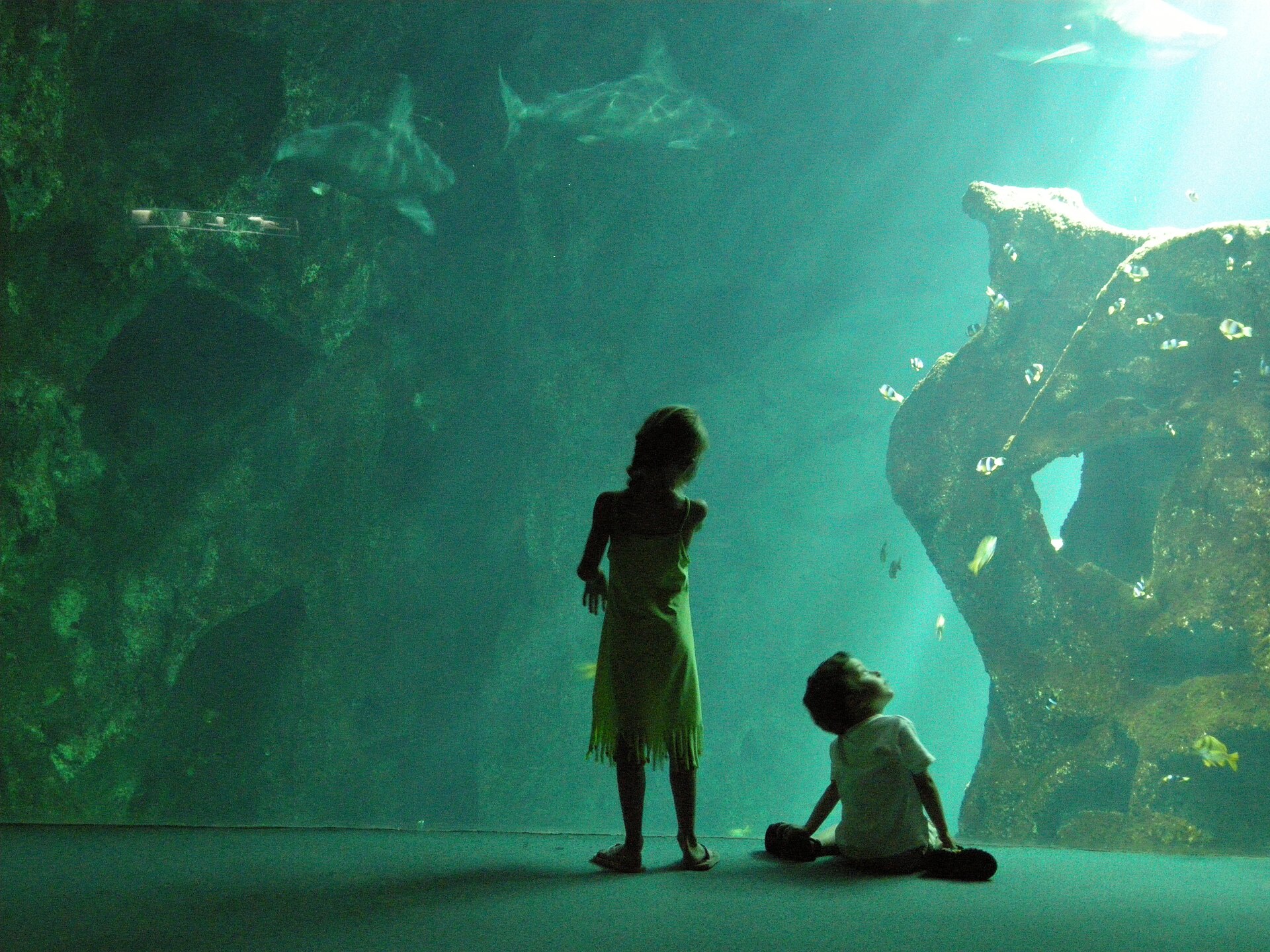 Aquarium La Rochelle