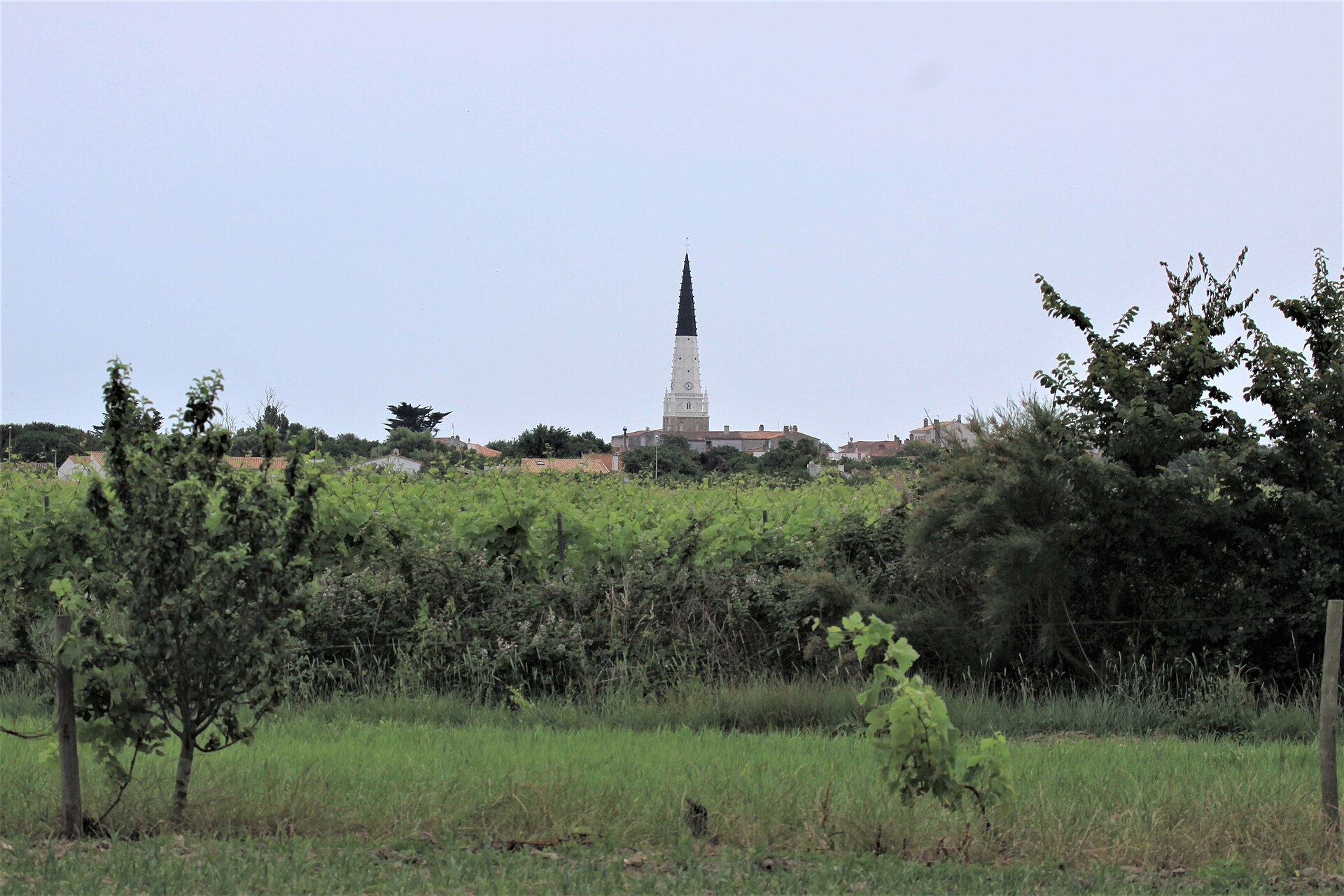 Ars-en-Ré