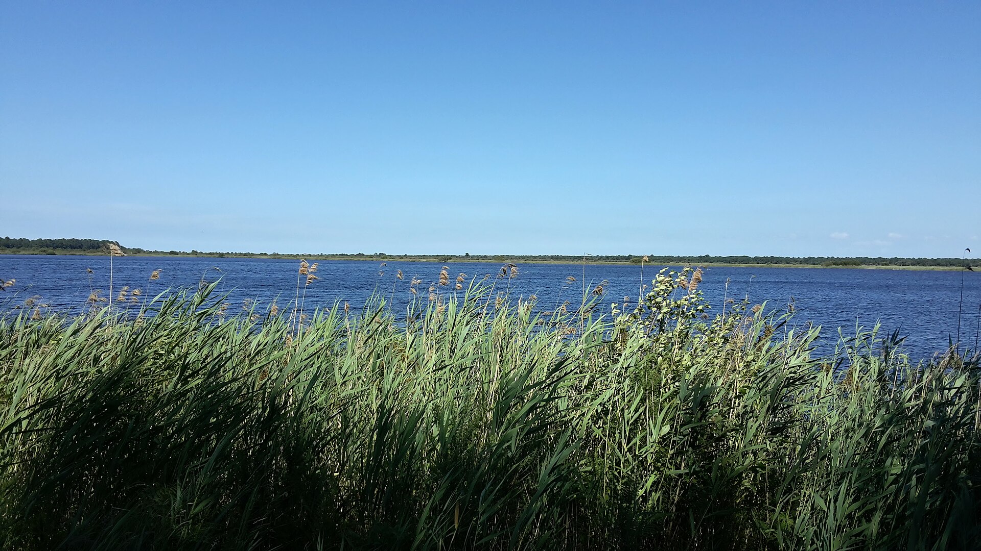 Réserve Naturelle de l'Étang de Cousseau