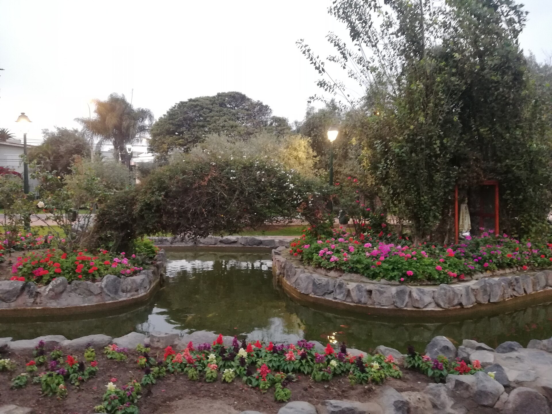 Bosque El Olivar