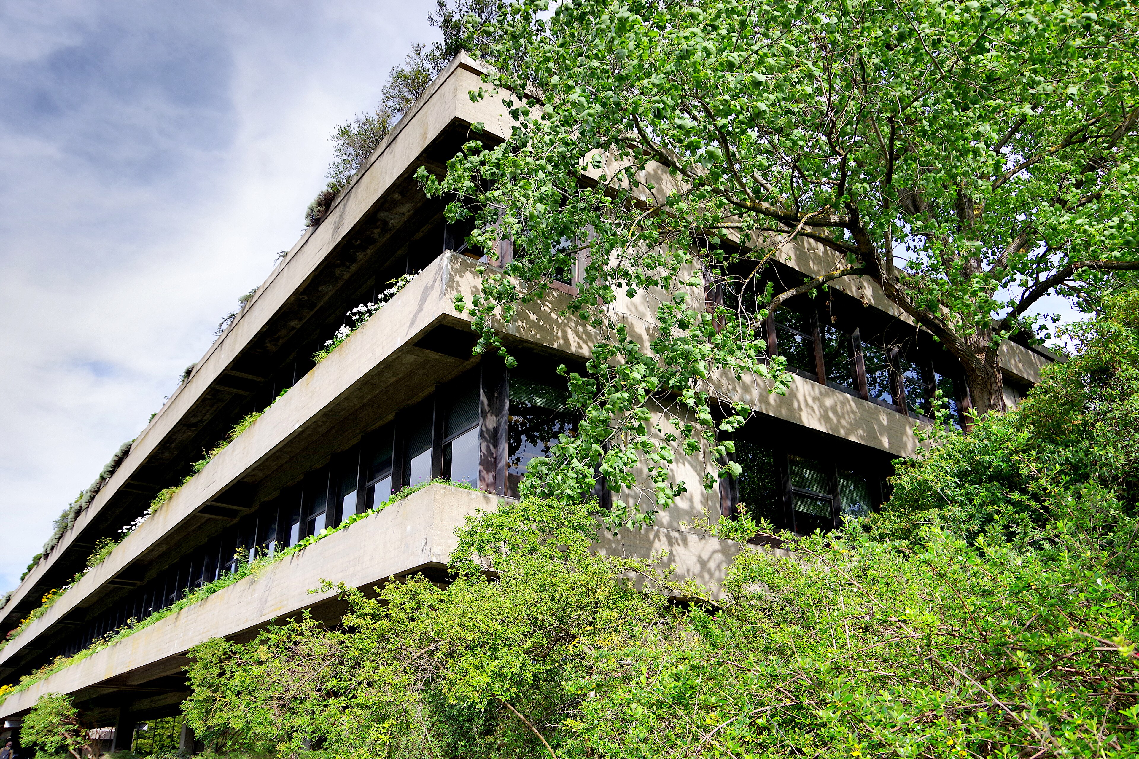 Museu Calouste Gulbenkian