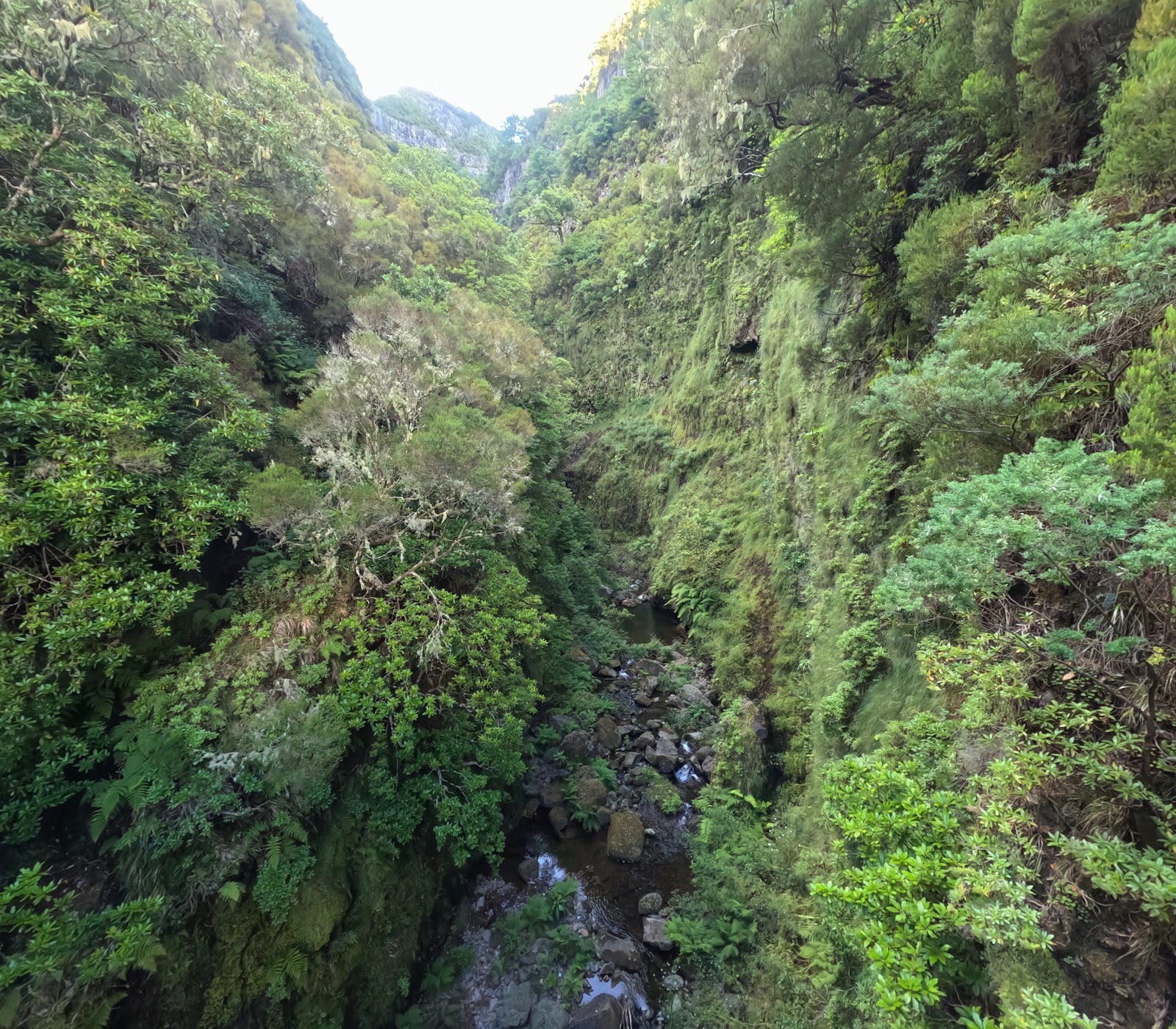 Levada das 25 Fontes (PR6)