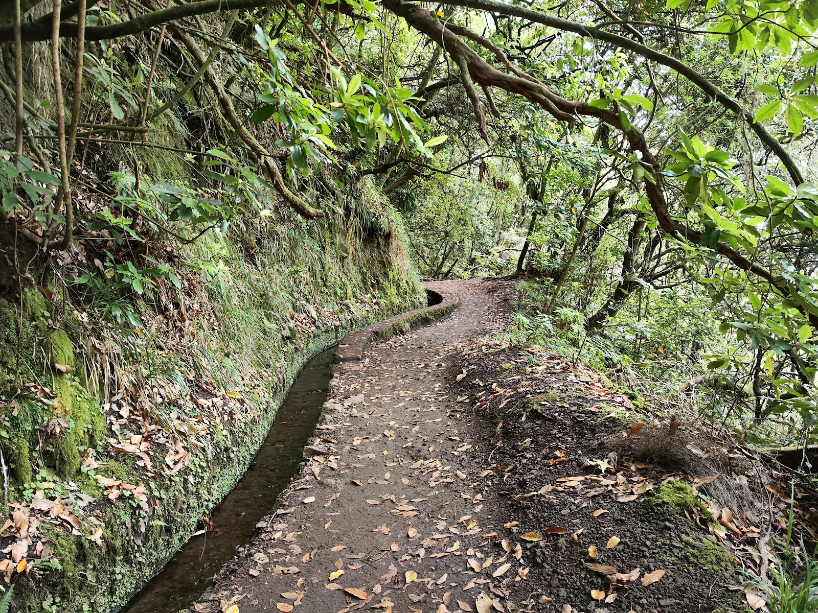 Levada do Caldeirão Verde (PR9)