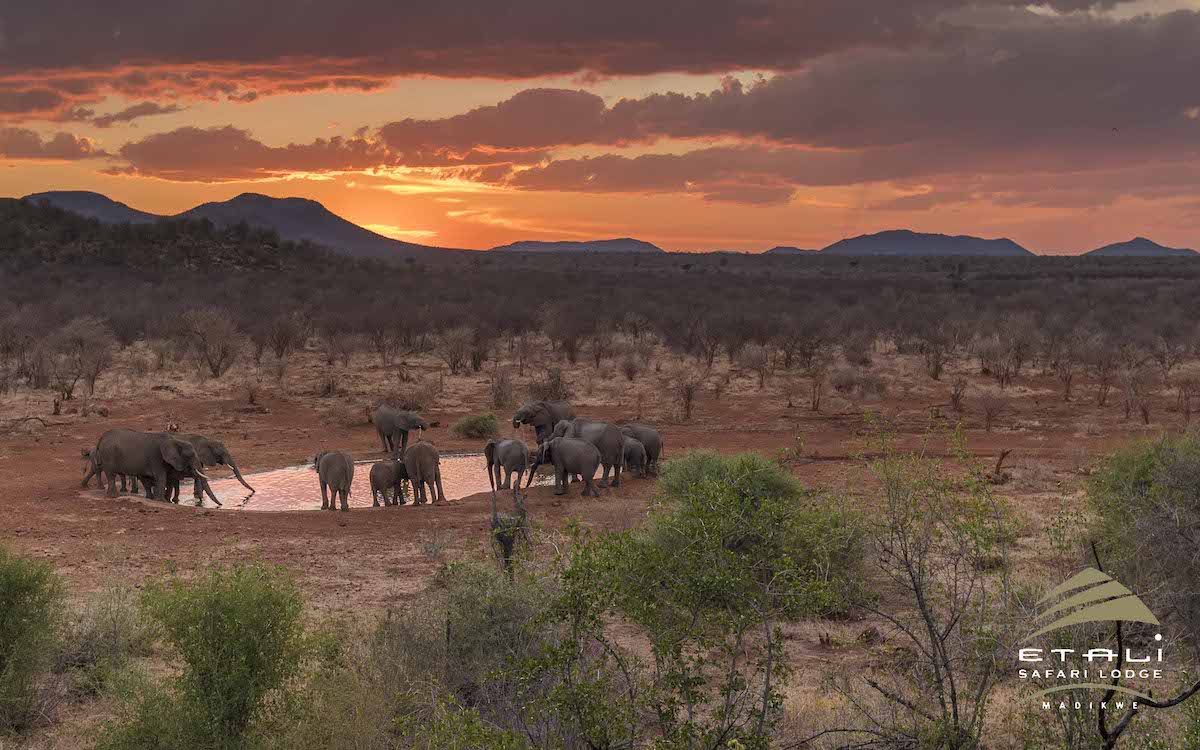 Etali Safari Lodge