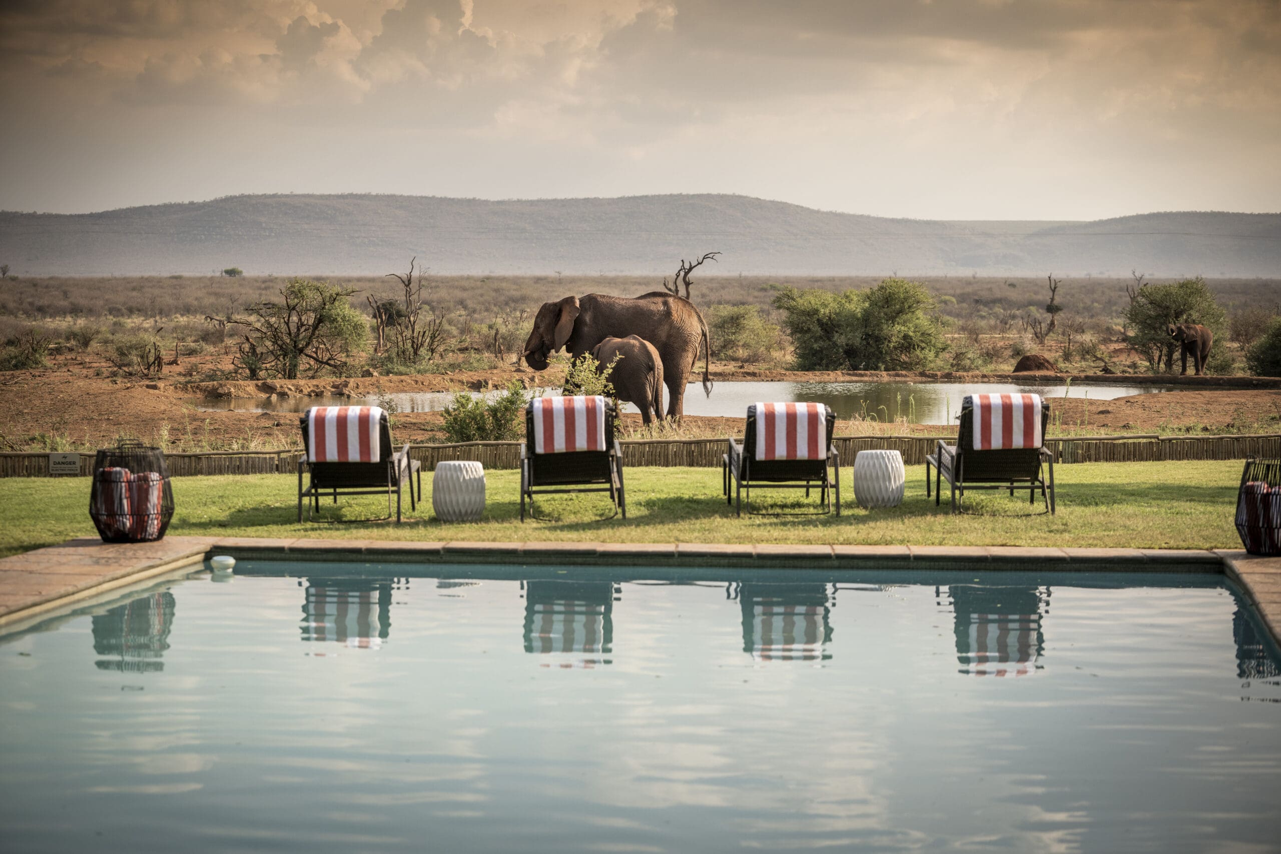 Madikwe Safari Lodge